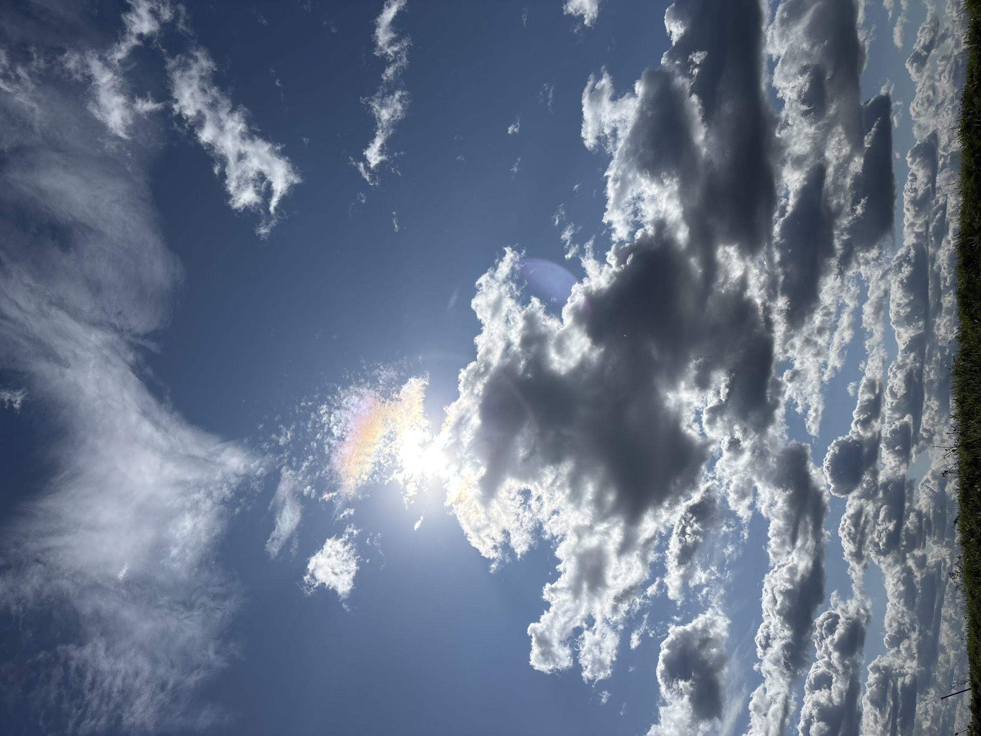 The image shows a sky filled with dramatic clouds and a bright sun. A rainbow-like effect is visible near the sun, caused by the interaction of sunlight with ice crystals in the clouds. The lower part of the image reveals a grassy field with some tall blades of grass. The sky is a deep blue, and the clouds are a mix of white and dark grey, indicating variations in light and density. The sun is positioned in the upper left portion of the frame, its rays creating a lens flare effect that adds to the visual drama. There are no people or specific structures visible in this image, only natural elements. The scene appears to be outdoors, likely in an open area such as a field or meadow. The image's context as being in Pokrovskoe, Russia, suggests a natural landscape typical of that region.
