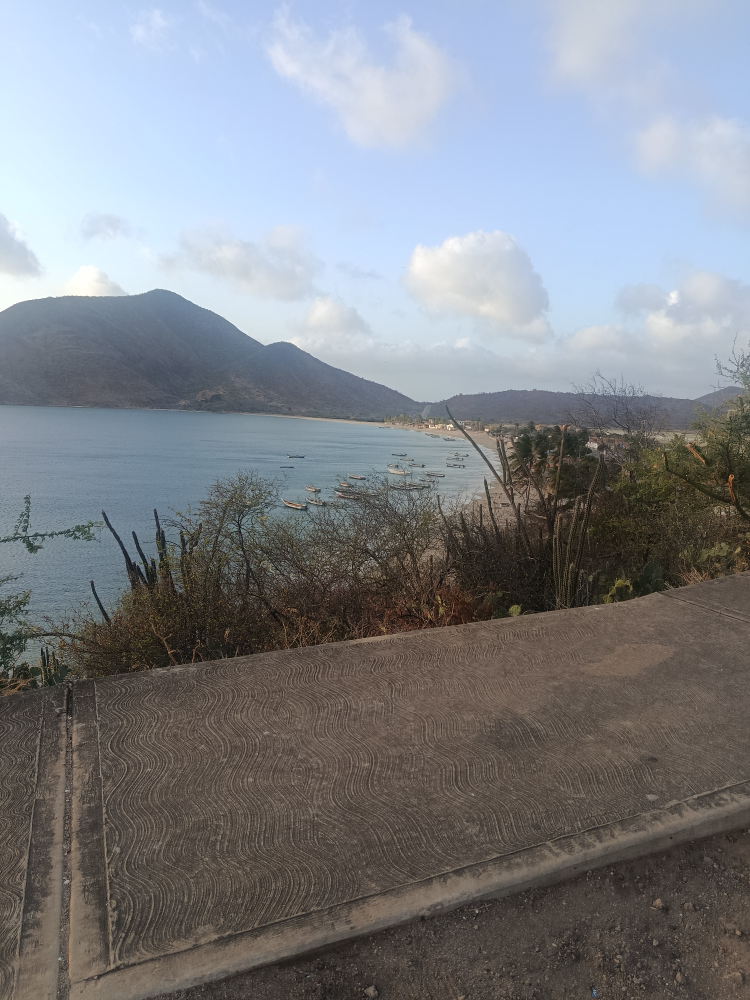 The image presents a scenic view in Juan Griego, Venezuela, overlooking the bay. A large mountain range dominates the left side of the frame, descending towards the coastline. The water is calm, with numerous small fishing boats anchored in the bay. The beach is lined with buildings and palm trees. In the foreground, a patterned concrete surface serves as a viewing platform or walkway. Sparse vegetation, including cacti and bushes, grows between the platform and the bay. The sky is partly cloudy, suggesting a bright, possibly late afternoon light.