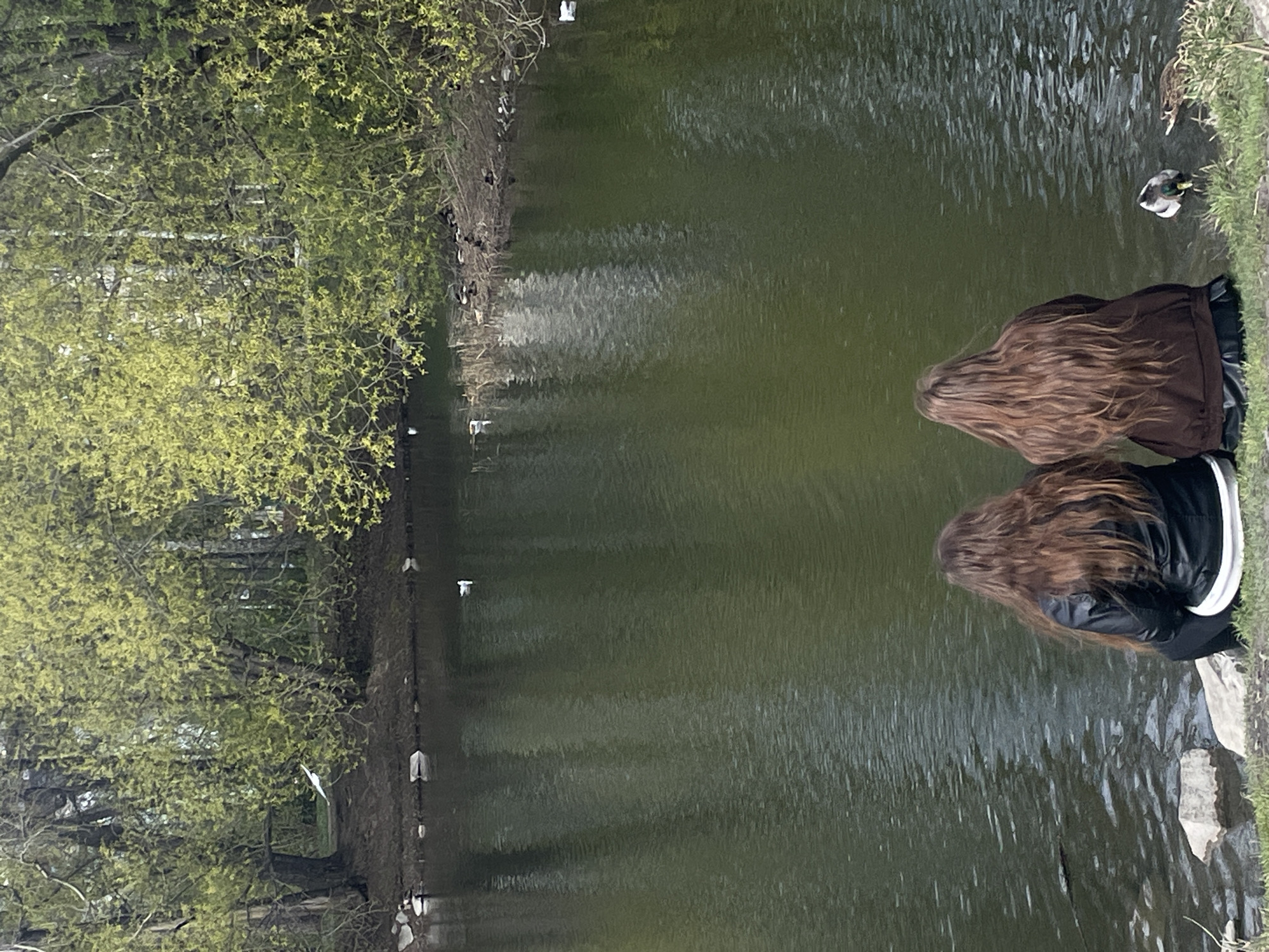 Two people are standing by a body of water. One person is wearing a brown jacket and the other is wearing a black jacket. In the water is a single duck. Trees line the bank of the pond with new green growth. White objects float on the water. The location is likely a park in Yekaterinburg, Russia.