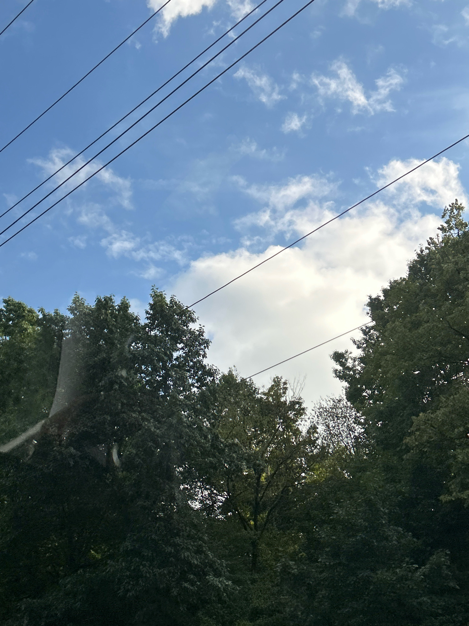 The image captures a view looking upwards towards a blue sky with scattered white clouds. Several dark power lines traverse the upper portion of the frame diagonally. Below the sky and power lines, a dense canopy of lush green trees forms the lower part of the image. The trees appear to be full of leaves, suggesting a warm weather season, likely spring or summer. Some branches and leaves are illuminated by sunlight, creating variations in light and shadow within the foliage. The overall impression is one of nature meeting infrastructure, a common sight in urban or suburban environments. Without additional context or landmarks, pinpointing the exact location within Pittsburgh, United States of America, is not possible from the visual information provided in the image alone.