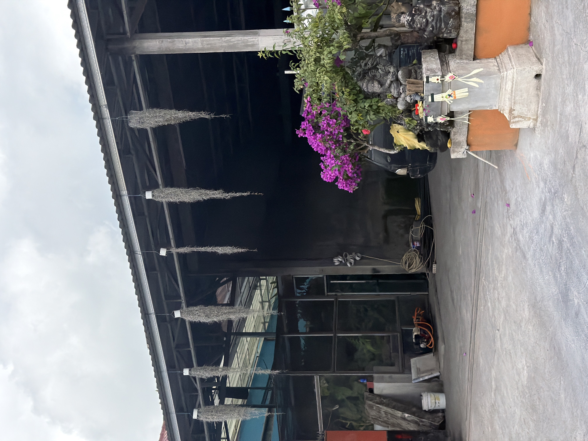 The image depicts an outdoor area in Kintamani, Indonesia, under an overcast sky. A corrugated metal roof structure extends across the frame, supported by visible beams. Several bunches of Spanish moss hang from the roofline. In the foreground, a paved area shows a white bucket, construction materials, a small engine, and coiled electrical cords. To the right, a stone statue of a deity, possibly Ganesha, is adorned with small, decorative items. Beside the statue, a flowering plant with vibrant purple bougainvillea blooms. A dark-colored vehicle is partially visible behind the plant. The overall scene suggests a utilitarian or possibly commercial outdoor space, with elements of local culture and vegetation.