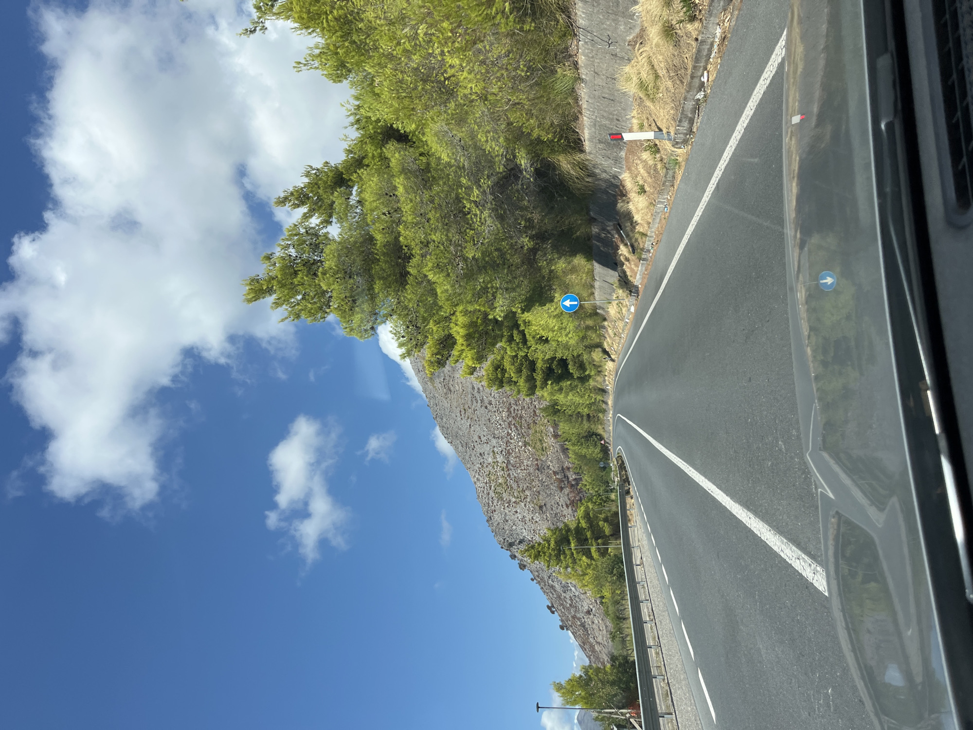 The image shows a view from a car driving on a paved road in Praia a Mare, Italy. The road curves to the right and is lined with a metal guardrail on the left. On the right side of the road, there is a concrete wall with dry grass and vegetation growing over it. There are several traffic signs visible, including a blue circular sign with a white arrow pointing upwards on the right side of the road. In the background, a steep, rocky mountain slopes upward, covered with sparse vegetation. A line of green trees, possibly pine trees, grows along the side of the road and up the mountain. The sky is bright blue with scattered white clouds. The hood of the car is visible in the foreground.