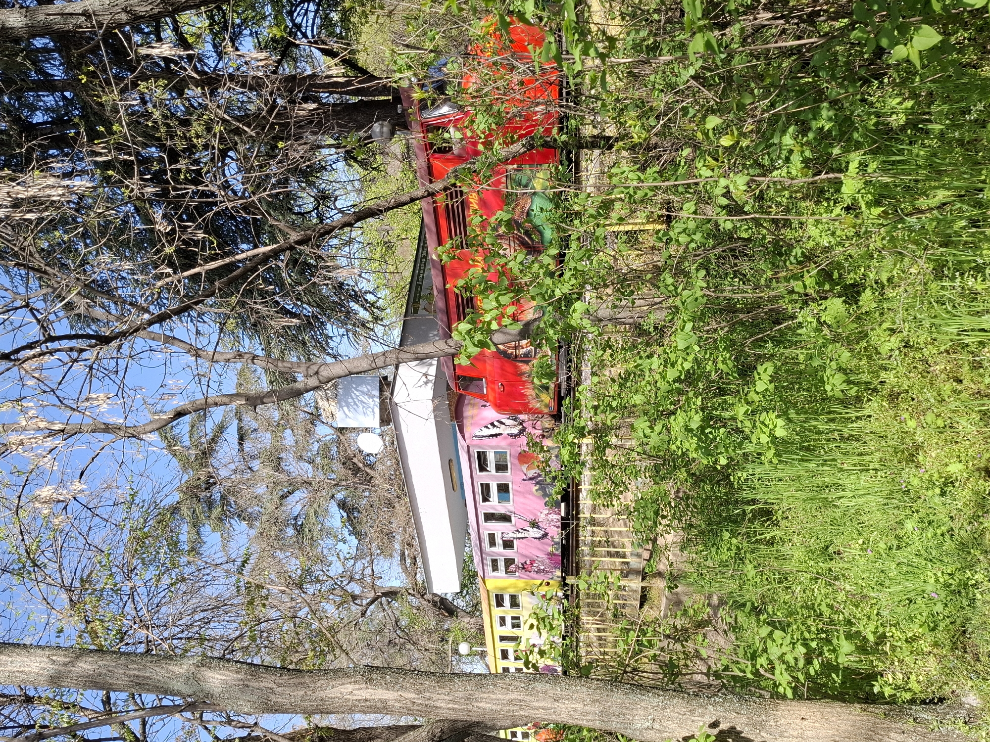 This outdoor image, taken in Plovdiv, Bulgaria, showcases brightly painted, repurposed railcars nestled within a lush natural setting under a clear blue sky. The scene is viewed through the dense canopy of trees, with their branches and trunks prominent in the foreground and framing the composition.
The main subject is a series of interconnected railcar sections, each uniquely colored and decorated. The lead section is a vibrant red, featuring abstract green and yellow artistic designs or graffiti on its side. Faint, unreadable Cyrillic text can be observed on this red section. Following this is a pink railcar segment, adorned with multiple white-framed windows and decorative motifs of white butterflies and colorful flowers. Adjacent to the pink car is a yellow section, also equipped with white-framed windows. A long, white, boat-like structure or roof sits atop or behind the pink and yellow sections, with small, white, circular objects, possibly lights or dishes, visible nearby. A yellow railing or fence is also seen in front of these carriages.
The railcars are surrounded by abundant greenery. Thick bushes and tall grass grow in the foreground and to the right, partially obscuring parts of the train. Overhead and to the left, numerous trees, some with bare branches and others with fresh green leaves, create a natural canopy. The sky visible through the trees is a bright, clear blue, indicating sunny weather. There is no human activity present in the image, suggesting the railcars are a stationary exhibit or repurposed structure. The overall impression is one of a cheerful and whimsical installation integrated into nature.