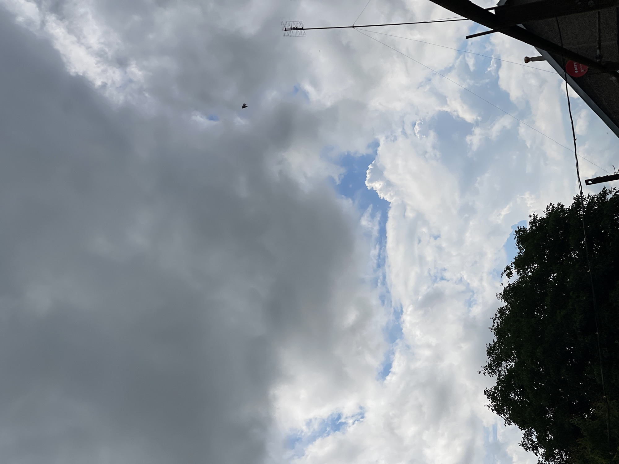 This media file, oriented vertically, depicts a view of the sky and a dark-leafed tree against a backdrop of dramatic clouds. The sky is a mix of dark, brooding storm clouds on the left and bright, puffy white clouds interspersed with patches of blue sky on the right. The contrast suggests a dynamic weather system, possibly transitioning from rain or overcast conditions to clearer skies.
In the upper portion of the image, a long, metallic antenna with a rectangular array is visible, extending horizontally across the frame and secured by wires. A small, dark bird is captured in mid-flight in the upper left quadrant, adding a sense of movement to the scene. The bottom right corner is dominated by the dense foliage of a large tree, its dark leaves creating a strong silhouette against the lighter sky.
Along the upper edge of the frame, a dark, sloped structure, possibly part of a building's overhang or roof, is present. A red circular sticker with white text is affixed to this structure, though the text is mostly illegible. Wires are also visible running down from this structure.
The overall impression is one of nature's power and beauty, with the sky as the main subject. The time of day appears to be daytime, given the brightness of the sky, but the presence of dark clouds suggests it could be later in the afternoon or that a storm is approaching or passing. The presence of the antenna suggests an outdoor setting, likely a residential or semi-rural area. No specific emotions are conveyed, but the dramatic cloud formations can evoke a sense of awe or anticipation. The location context is specified as "Средний, Russia."