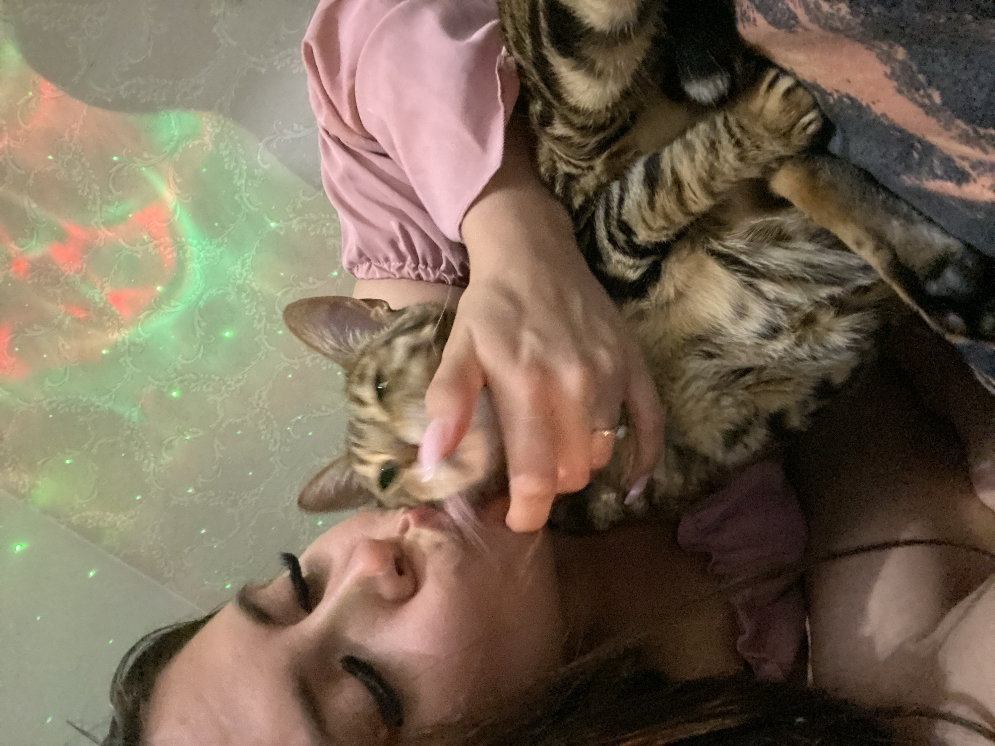In a close-up, indoor scene, a person with long dark hair and dark eyelashes is leaning in to kiss a tabby cat. The person is wearing a light pink garment with ruffled sleeves. The cat, held in the person's arms, is looking towards the camera with its tongue slightly extended. The background features a light-colored wall with a patterned texture, illuminated by a projector casting colorful light patterns in green and red. The lighting suggests a nighttime or dimly lit environment. There are no discernible elements in the image that would indicate a specific location in Chaikovsky, Russia.