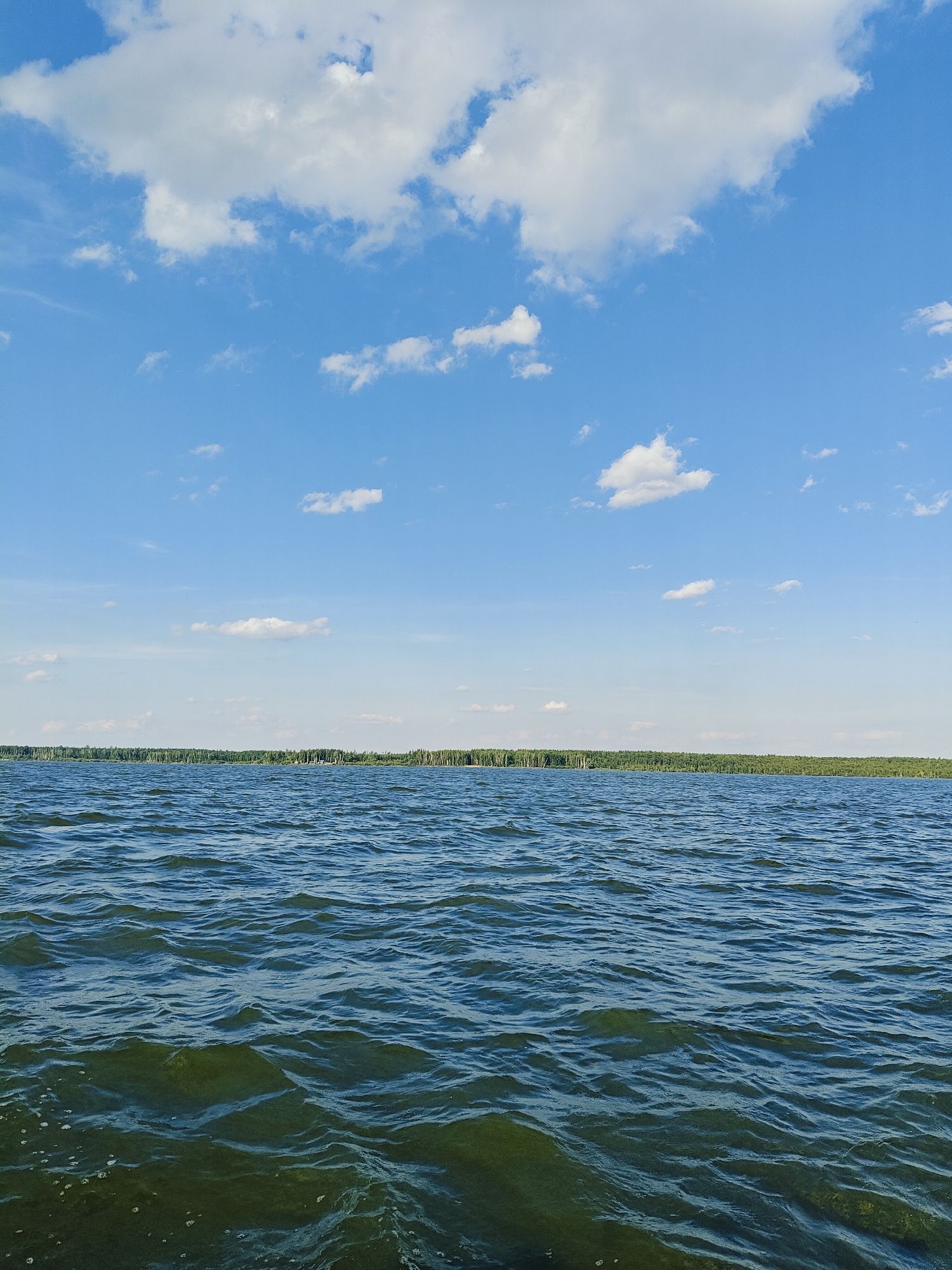 The image depicts a wide expanse of water, likely a lake or river, under a partly cloudy blue sky. The water exhibits gentle waves and is a deep blue-green hue. In the distance, a dense, green treeline runs along the horizon, suggesting a natural landscape. The scene is devoid of any human presence, vessels, or man-made structures on the water. The sky features scattered white clouds, characteristic of a fair-weather day. The overall impression is one of tranquility and natural beauty. While the specific location within Chaykovsky, Russia cannot be determined from the visual information alone, the scene is consistent with the natural surroundings of a body of water in such a region.