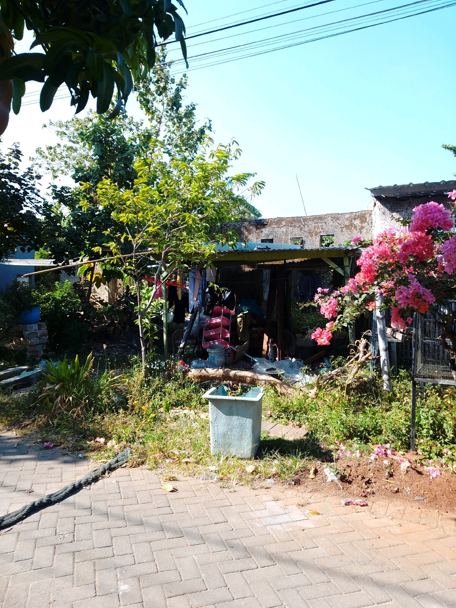 The image depicts a scene in Cikal, Indonesia, focusing on a cluttered outdoor area adjacent to a residential structure. In the foreground, a paved walkway made of interlocking bricks runs diagonally across the frame. A thick, dark rope lies on the walkway, extending from the bottom left towards the center. Beyond the walkway is an area of overgrown grass, dirt, and scattered debris, including fallen leaves and pink flower petals. A light blue, rectangular planter is positioned in the grass.
Behind the planter and grass, a rustic, open-sided structure is visible. It appears to be a makeshift shelter or storage area, with a corrugated metal roof supported by wooden poles. Inside and around this structure, a variety of items are stored and displayed, including what looks like laundry hanging on lines, stacked red plastic baskets, buckets, and other unidentifiable objects. Green foliage and trees surround the structure, with a larger tree in the center and a flowering bush with bright pink blossoms to the right. A section of a rough-textured stone wall is visible behind the structure. In the background, the sky is clear and blue, with overhead power lines crossing the upper part of the image. The overall impression is one of a somewhat neglected, yet lived-in, domestic outdoor space. There are no people visible in the image.