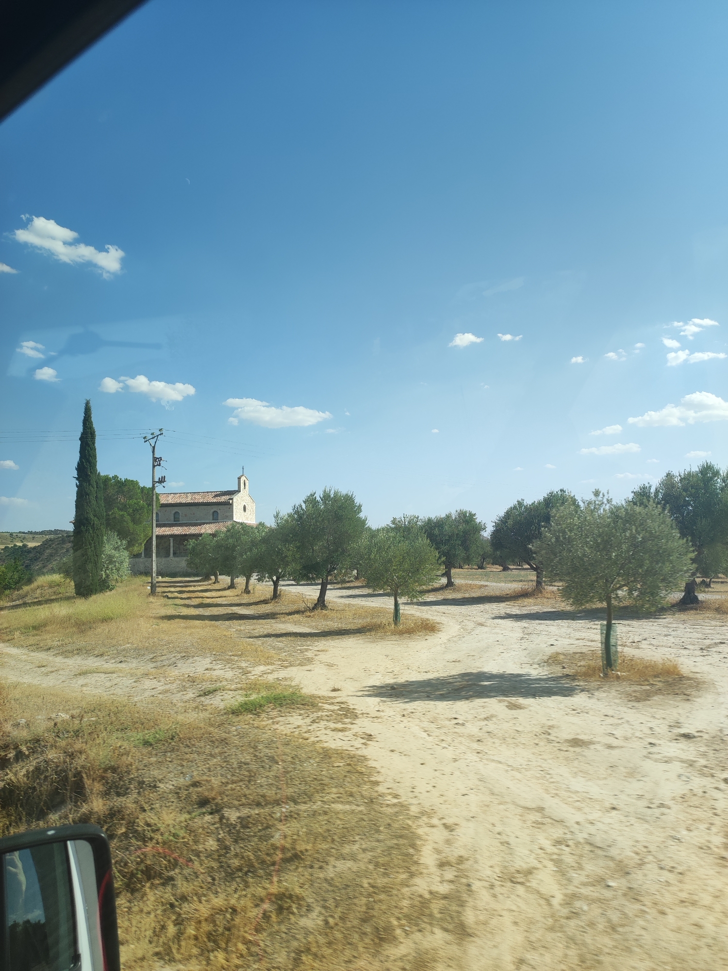The image captures a sunny daytime scene in Almoguera, Spain, showcasing a rural landscape dominated by olive trees and a small building resembling a chapel. In the foreground, a dirt road winds through the dry, golden terrain. A tall, slender cypress tree stands to the left of the building. The chapel, with its tiled roof and arched windows, is partially obscured by olive trees. The sky is a clear, bright blue with scattered white clouds. The overall impression is one of a serene, sun-drenched Mediterranean countryside.