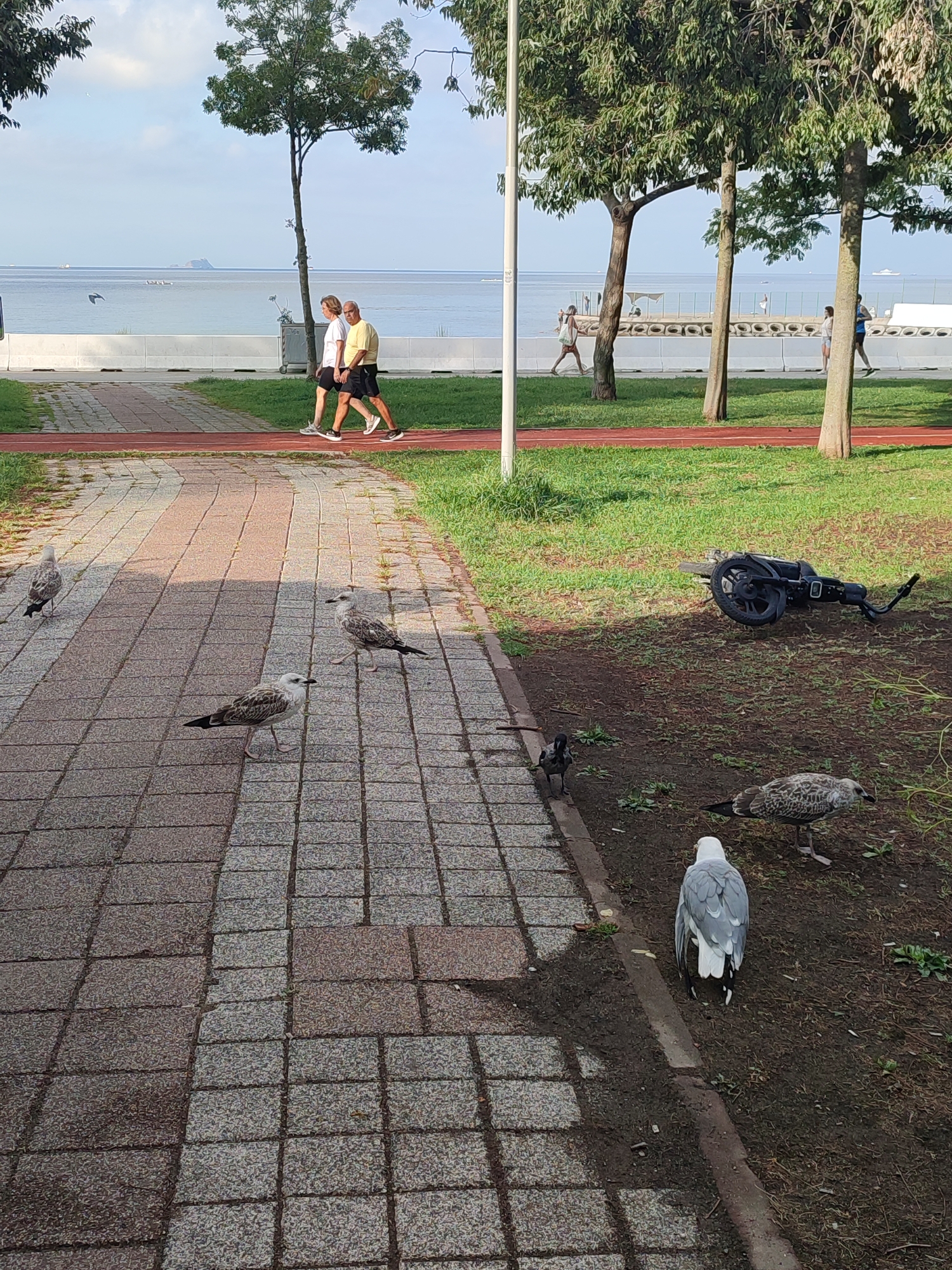 The image depicts a scenic view of the coast in Kadıköy, Turkey, likely along the Moda coastline. In the foreground, a paved walkway made of grey and red patterned bricks runs diagonally across the frame. Several seagulls are scattered on the walkway and the adjacent grassy area. One dark-colored bird, possibly a crow, stands near the edge of the walkway.
Further in the background, a red running track is visible. Beyond the track is a grassy expanse dotted with trees. In the middle ground, two individuals are walking along the track, appearing to be a couple dressed in casual athletic wear. A white barrier runs along the edge of the water.
The background features the blue expanse of the sea under a bright sky with scattered clouds. A distant island or peninsula can be seen on the horizon, along with several boats and ships. To the right, a dark-colored object resembling a broken toy stroller or a folded stroller lies on the ground amongst the trees. The overall scene suggests a tranquil day at a public park or promenade by the sea.