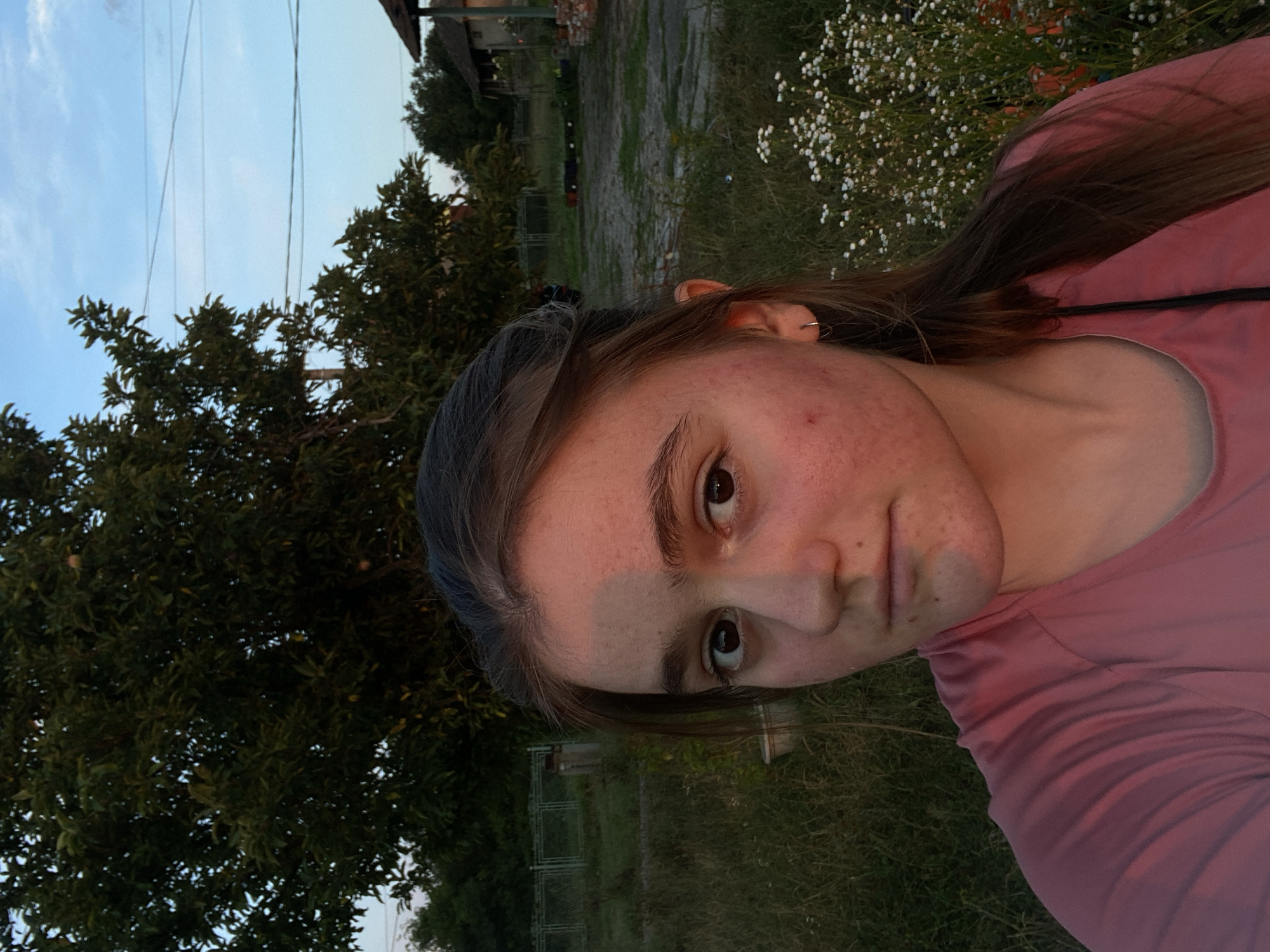 A young woman with long brown hair is positioned in the foreground, facing the camera. She is wearing a pink t-shirt. The lighting suggests it is either sunrise or sunset, casting a warm glow and creating a distinct line of shadow across her face, dividing it into light and dark halves. She has brown eyes, visible blemishes on her skin, and a subtle expression.
The background depicts an outdoor environment that appears to be a rural or semi-rural setting. A large tree with dark green foliage dominates the left side of the frame. Beyond the tree, a chain-link fence runs horizontally. The ground is covered in grass and dirt. In the distance, a small building with a roof is visible, along with some overhead power lines. A cluster of small white flowers is present on the right side of the image, near the woman. The overall impression is a candid outdoor portrait, likely taken in a residential area with some natural elements. The location is identified as Barajevo Urban Municipality, Serbia.