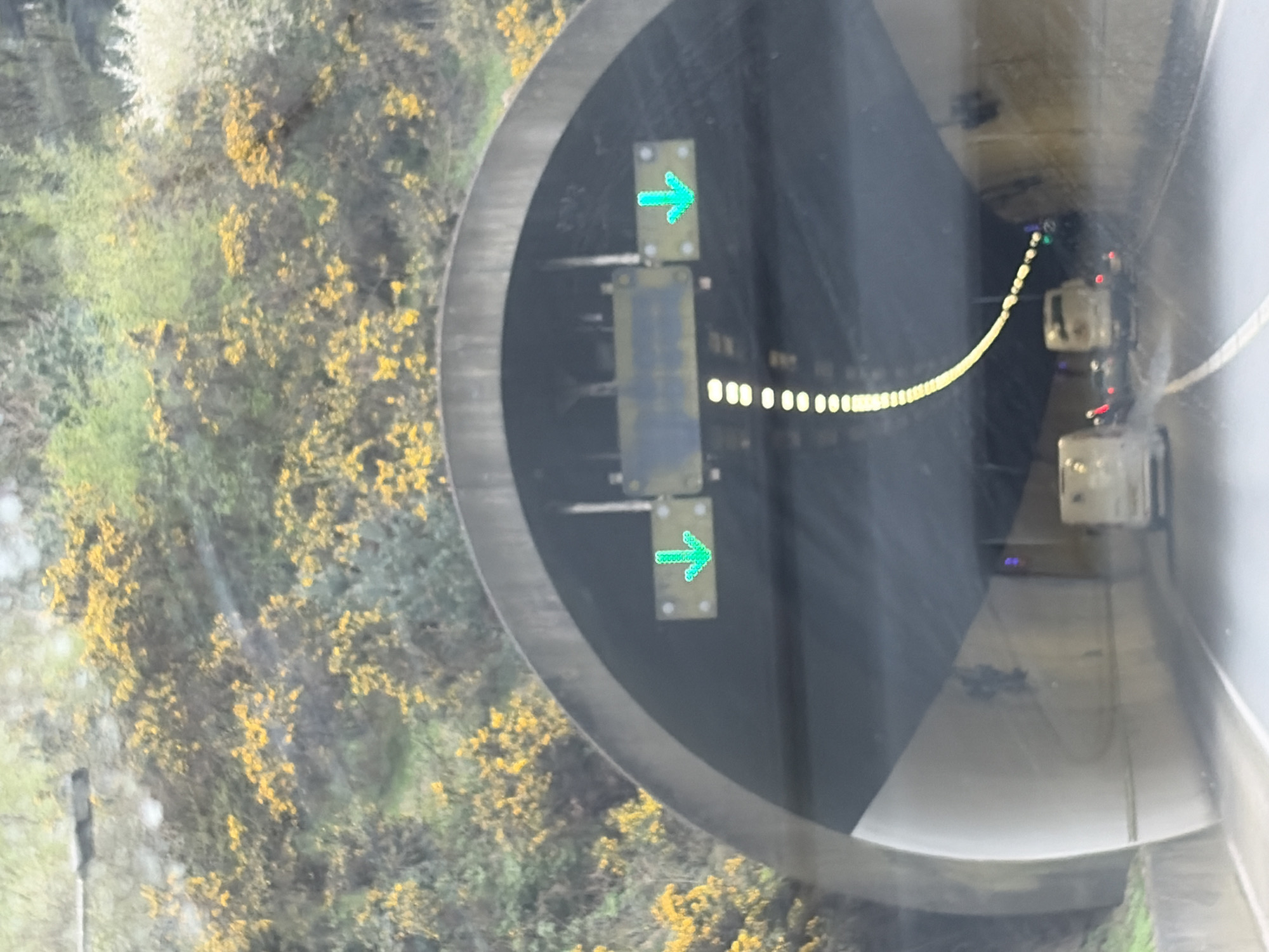 The image shows a tunnel entrance reflected in a window, with greenery including yellow flowering bushes visible outside. Inside the tunnel, direction signs with green arrows point right. A string of white lights runs along the tunnel roof. Two vehicles are visible inside the tunnel. The location is the Hindhead Tunnel, which is located in Waverley, United Kingdom.