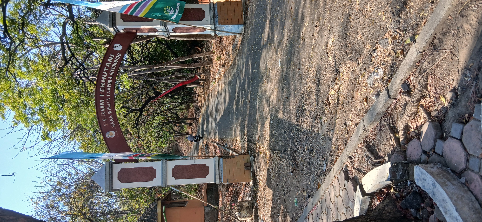 This is a medium shot, eye-level, full-color photograph taken outdoors on a sunny day, looking down a paved road that leads through an arched gateway. The gateway is made of a dark red material with white, square pillars on either side. The archway has text on it, which appears to read "PERUM PERHUTANI WANA WISATA TAMPORA SITUBONDO". Two flags are visible, one on each side of the gateway. The flag on the left is light blue. The flag on the right is green with the word "Perhutani" on it, and it also has other colored stripes. A small, orange building with a brown roof is visible to the left of the gateway. The road is asphalt and is lined with trees on both sides. Fallen leaves are scattered on the road and the ground. A person is riding a motorcycle away from the camera down the road. The area appears to be a park or natural reserve. The foreground shows a damaged concrete curb and paving stones. The sky is blue and clear. The overall impression is of an entrance to a natural attraction in a rural or semi-rural area in Banyuglugur, Indonesia.