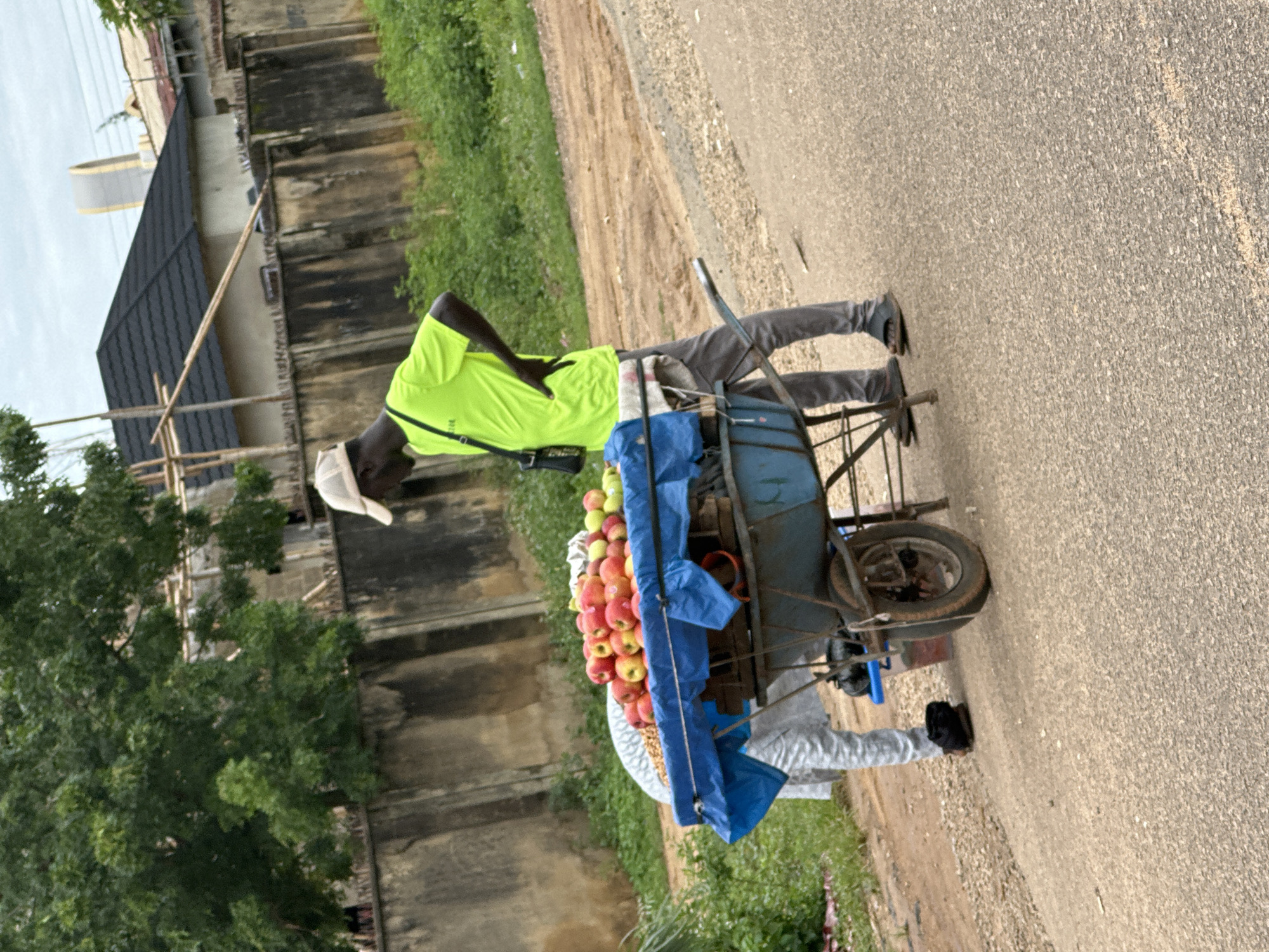 In the city of Kaduna, Nigeria, a street vendor is seen with a cart laden with apples. The vendor, a young man wearing a neon green t-shirt and a light-colored baseball cap, stands beside the cart with his hand on his hip, facing away from the camera. Another individual, dressed in a light-colored patterned outfit, is partially visible on the other side of the cart, bending over. The cart itself is blue and appears to be a modified wheelbarrow, covered with a blue tarp, with a prominent display of red and yellow apples. Behind the cart, a concrete wall runs along the scene, with a lush green area of trees and foliage beyond it. Further in the background, buildings with dark tiled roofs are under construction, suggesting a developing urban area. The ground in the foreground is a mixture of asphalt road and a dirt path. The overall atmosphere is that of a typical day in a bustling Nigerian city.