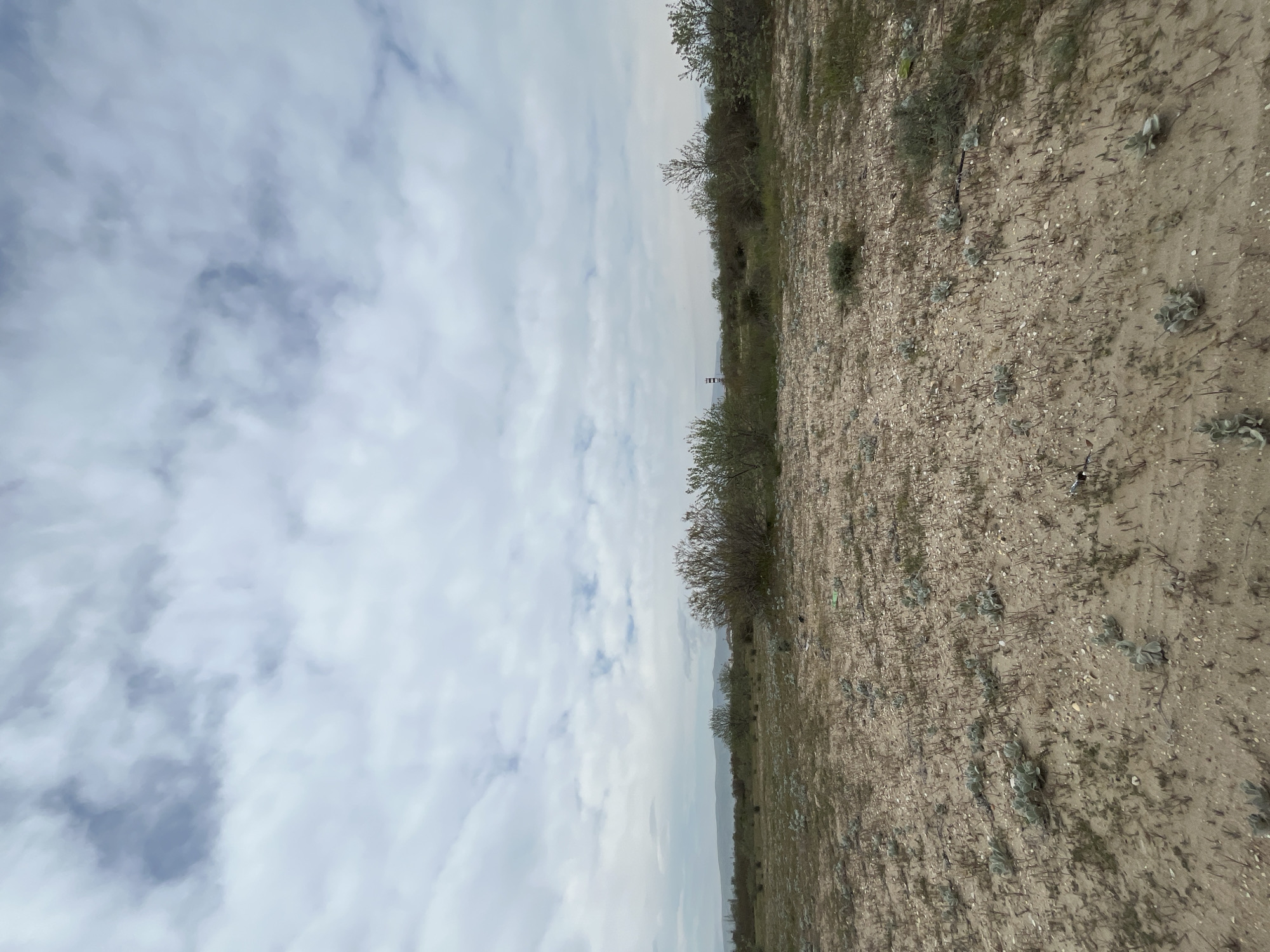 The image shows a landscape in Kaspiysk, Russia, with a focus on the juxtaposition of the ground and sky. The ground is arid and sandy, sparsely vegetated with small shrubs and dry grasses. The sky is filled with clouds, creating a textured, overcast atmosphere. A structure is present in the distance, possibly a tower or building, which adds a man-made element to the natural scene. There are no visible people, activities, or interactions.