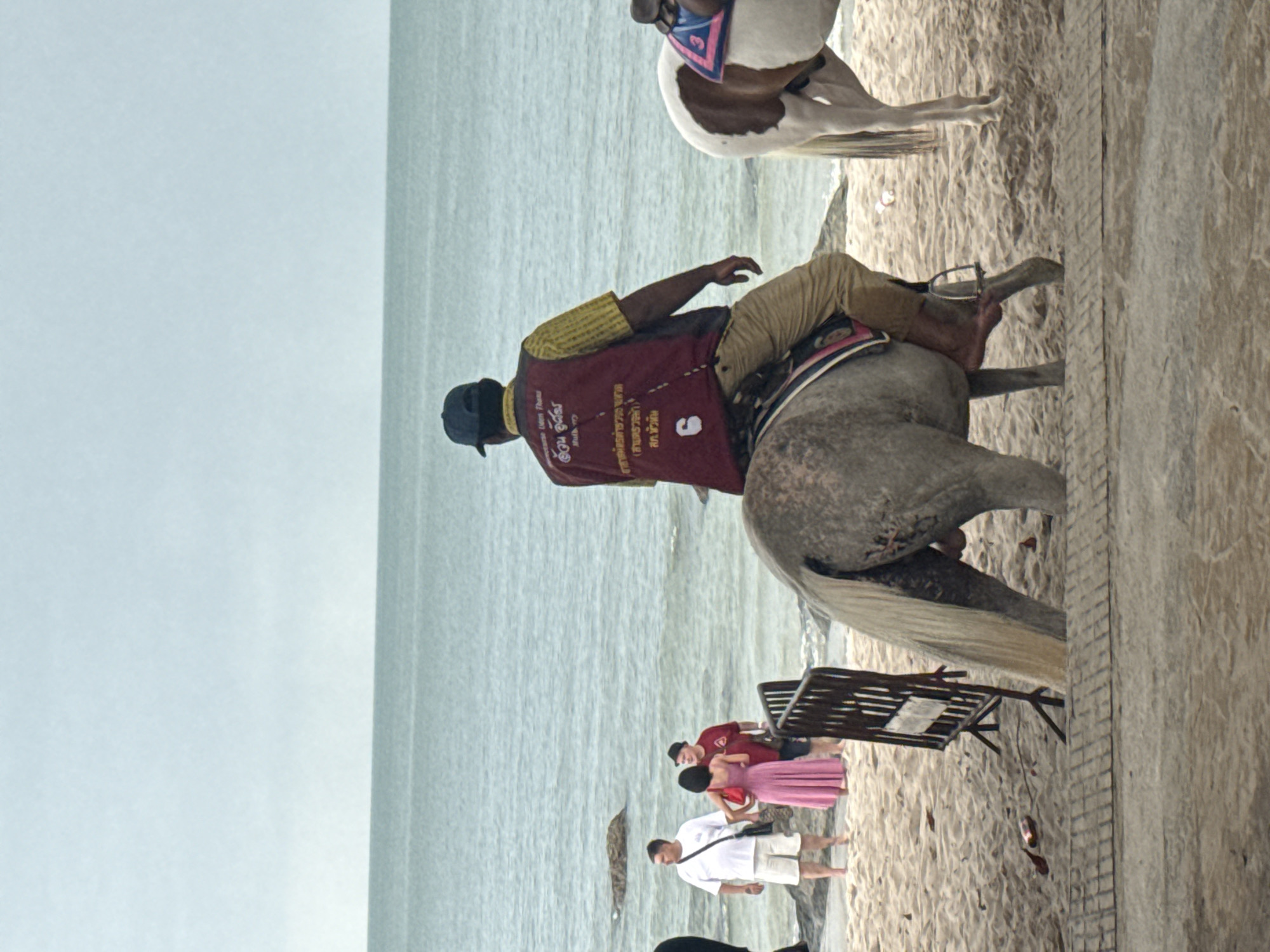 The image depicts a beach scene in Hua Hin City Municipality, Thailand. In the foreground, a man wearing a red vest with text and a yellow patterned shirt is riding a grey horse. The horse's tail is long and light-colored, and its hindquarters are prominent. A brown and white horse stands to the right. In the background, several people are visible on the sand near the water, including a man in a white t-shirt and shorts, a woman in a pink dress, and another man in a red shirt. The sea is calm and extends to the horizon under a light sky. A dark metal barrier is positioned on the sand between the horses and the people. The sand is textured with some debris scattered on it.
