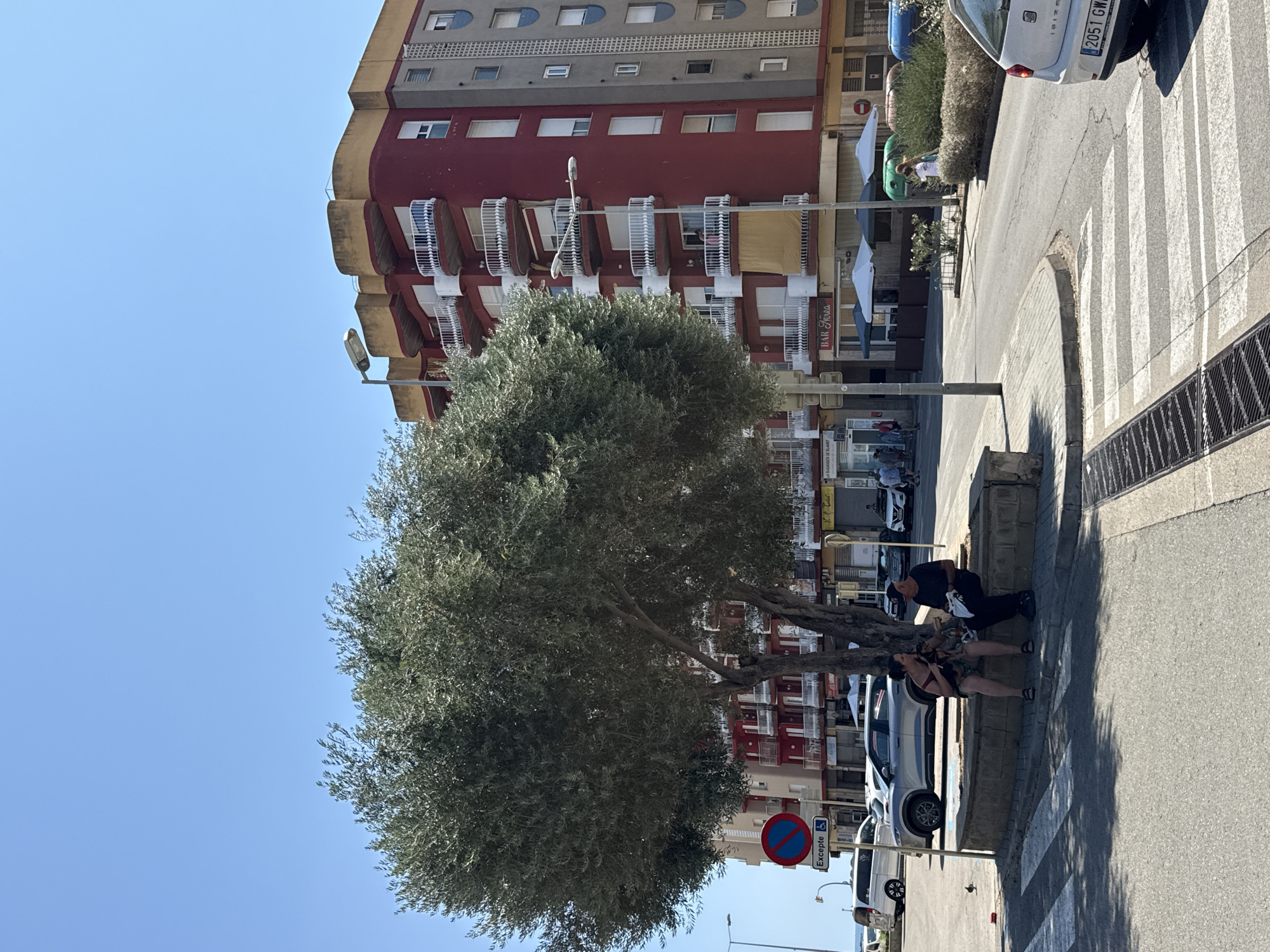 In Blanes, Spain, on a sunny day, a couple sits on a low stone wall beneath the shade of a large olive tree. The woman, wearing a patterned dress, holds a small dog, and the man, dressed in black, sits beside her. The setting appears to be a street corner with a pedestrian crossing in the foreground. Behind them, a multi-story building with red and grey facades stands prominently. The building features several balconies with white railings and curved yellow accents at the top. Various shops and businesses line the ground floor of the building, indicated by signage. Several cars are parked on the street, and a traffic light is visible in the distance. The sky is clear blue.
