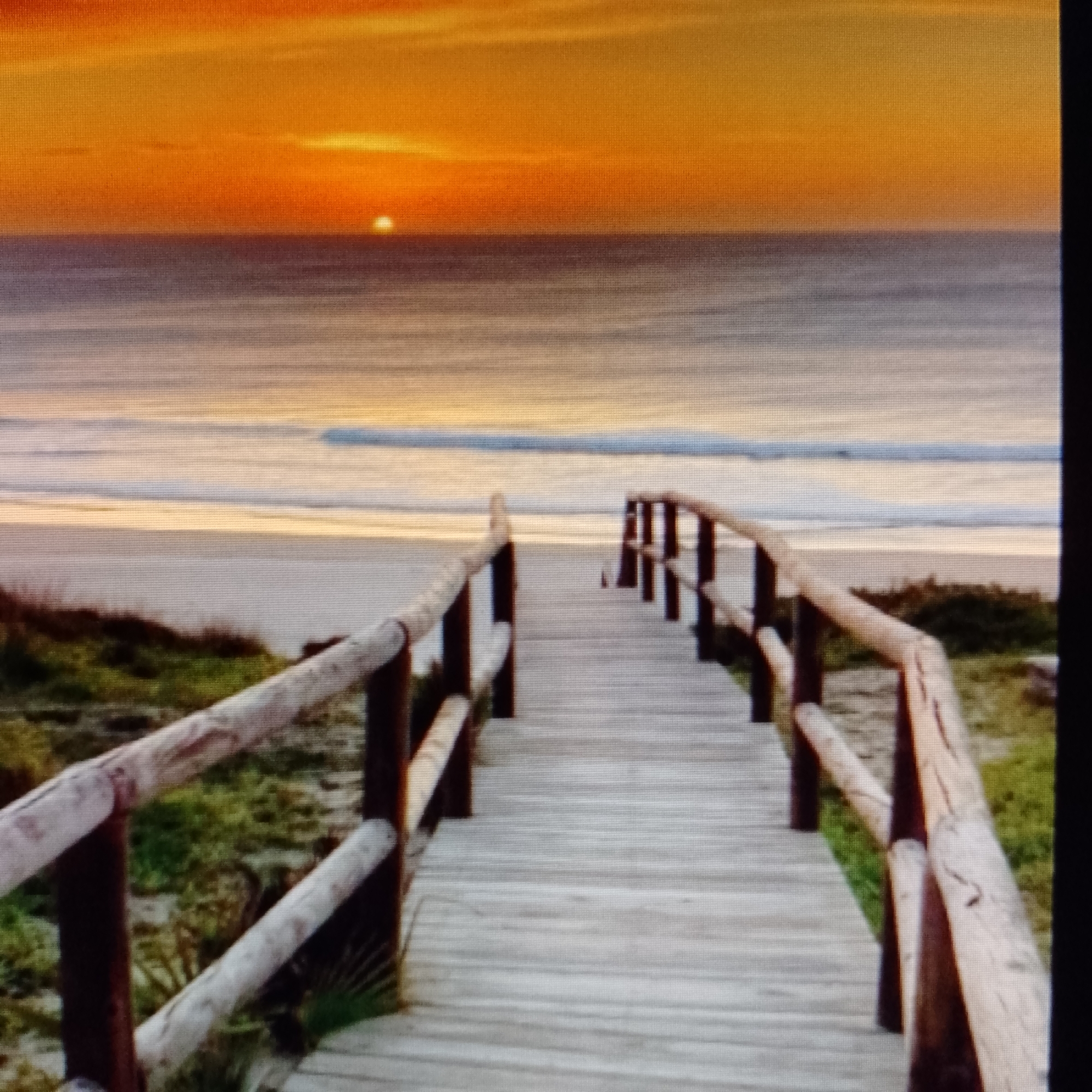 A wooden boardwalk stretches towards a beach and ocean under an orange sunset. The boardwalk has railings made of logs, with dark posts. Green vegetation grows on either side of the boardwalk. The beach is sandy and flat, and waves are visible in the ocean. The sun is setting on the horizon. The location is unknown.