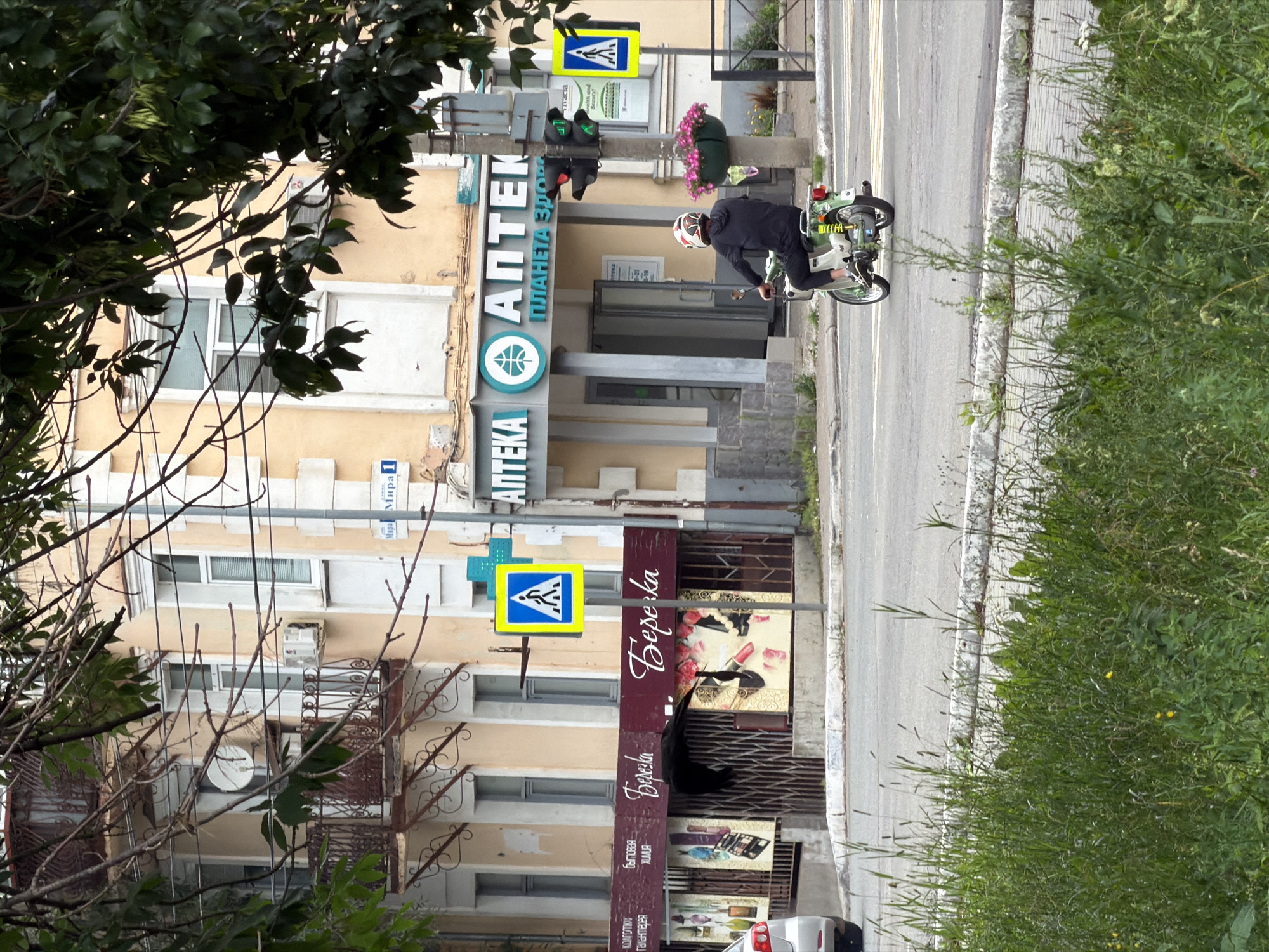 In Votkinsk, Russia, a person wearing a helmet rides a light-green moped down a city street. The moped is moving away from the camera, with the rider's back to the viewer. The rider is wearing dark clothing and a white and red helmet. The moped has yellow shock absorbers. To the left of the street, a light yellow building with white trim and balconies is visible. A sign with the word "АПТЕКА" (Apteka, meaning pharmacy) and a circular logo is mounted on the building. Across the street from the pharmacy, a dark-colored store with a burgundy awning displaying the name "Березка" (Beryozka, meaning birch tree) is visible. This store has metal grates and posters displaying images of perfume bottles and lipstick. A pedestrian crossing sign with a blue background and a white pedestrian figure is positioned on a pole near the pharmacy. Traffic lights with red and green signals are also present on the same pole. The street is paved with asphalt, and there is a grassy area with wildflowers and tall weeds on the right side of the foreground. The scene is captured on a bright, overcast day.
