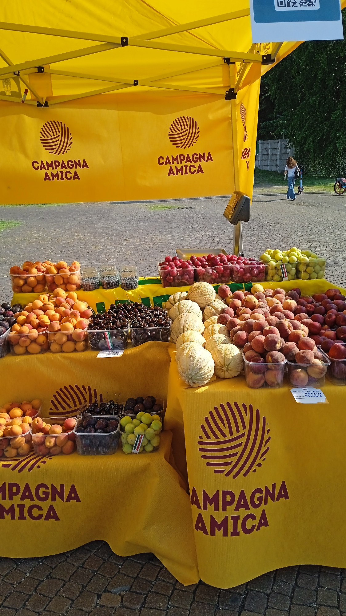 A yellow canopy covers a fruit stand, which is likely located in Milan, Italy. The canopy displays "CAMPAGNA AMICA" logo twice, a campaign supporting local farmers. Below the canopy, a variety of fresh fruits are displayed in clear plastic containers on yellow tablecloths. Fruits include apricots, cherries, blueberries, plums, peaches, and melons. In the background, a woman is walking away from the camera on a paved area, and trees and a fence are visible. The sun is shining, casting shadows on the ground.