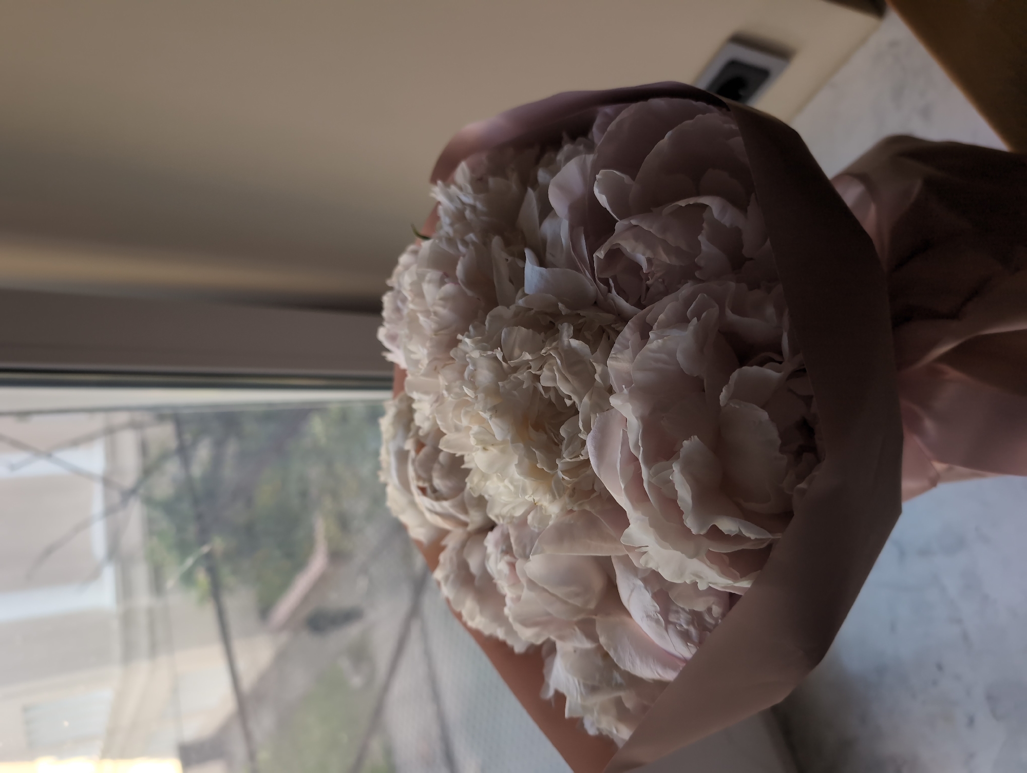 A bouquet of light pink peonies is displayed near a window. The bouquet is wrapped in brown paper and tied with a pink ribbon. The background includes a blurred view of a building and trees outside the window, and a wall with an electrical outlet inside. The image appears to have been taken indoors, with natural light coming from the window. There is no indication of the specific location within Kyiv, Ukraine.