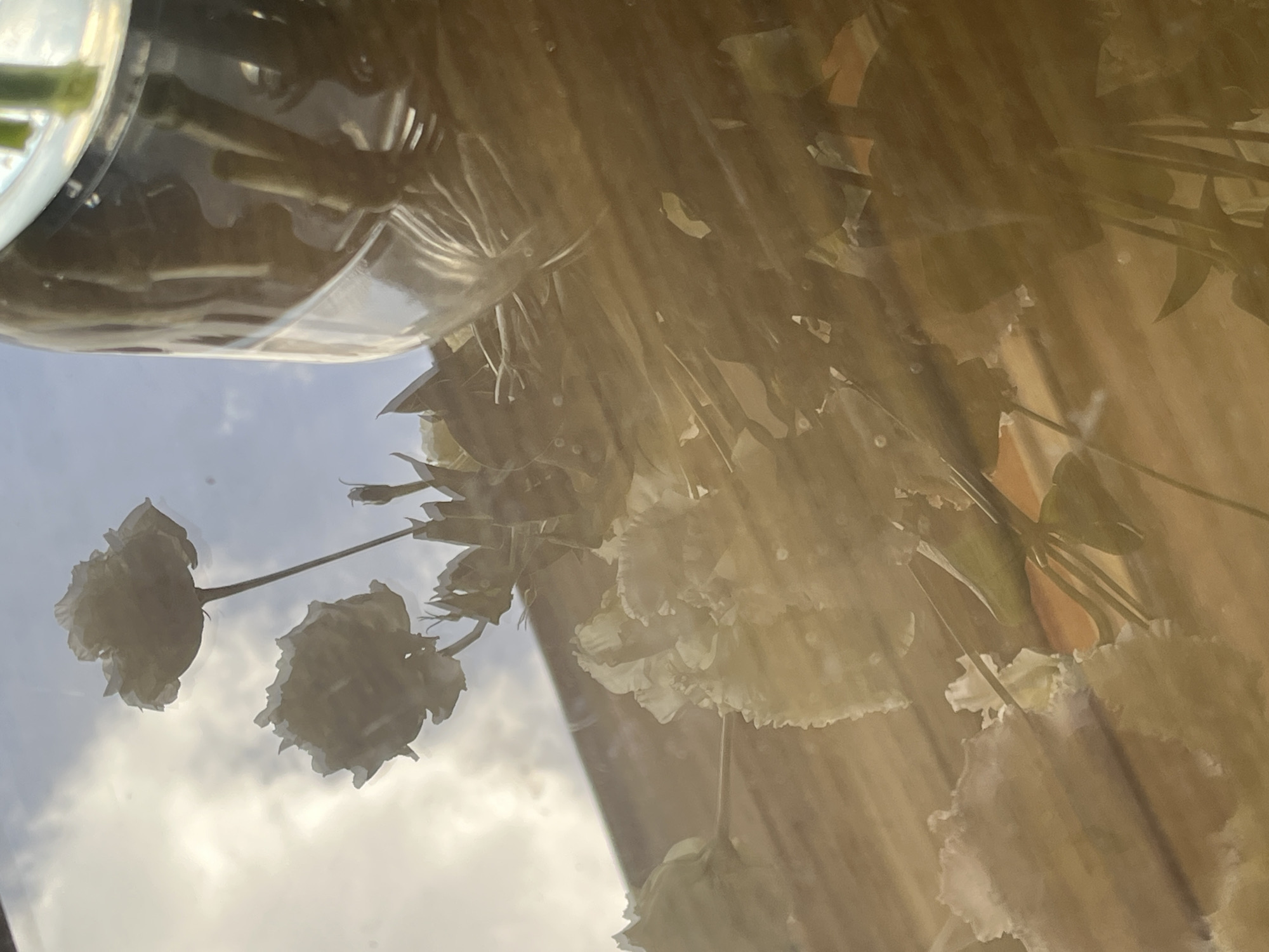 The image appears to be taken indoors, looking through a window or reflective surface. Inside, there is a glass vase containing flower stems, possibly roses. The flowers themselves are out of focus. Outside the window is a view of the sky with light clouds. The color palette is muted, with dominant tones of white, beige, and sky blue. The location is unknown.