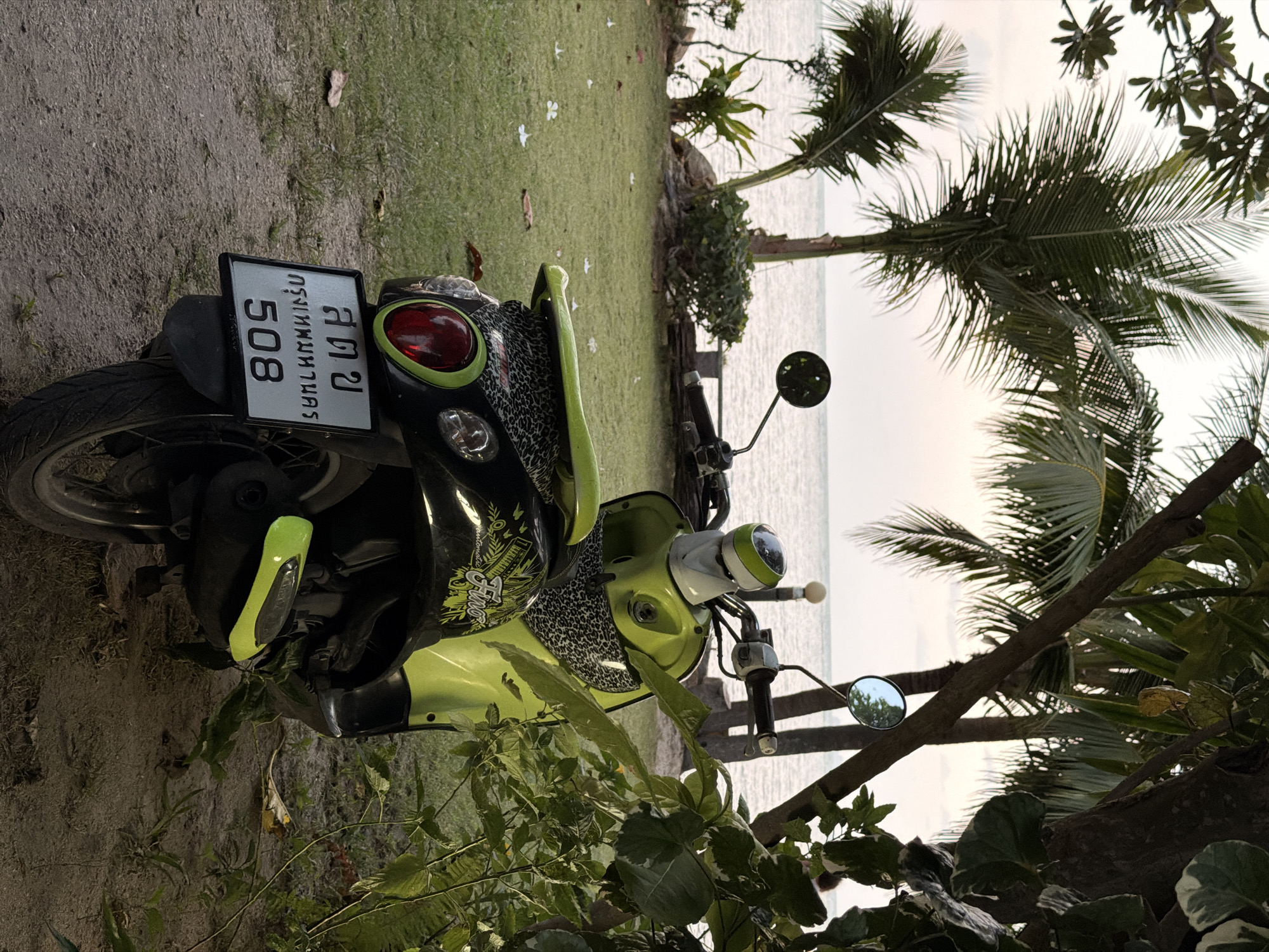 The image shows the rear of a lime green and black scooter parked on a sandy path, with a grassy area and the ocean in the background. The scooter's license plate reads "สจข กรุงเทพมหานคร 508" in Thai script and Arabic numerals, indicating it is registered in Bangkok, Thailand. Palm trees and other vegetation are visible, suggesting a tropical setting. The sky is overcast, and the ocean appears calm. There are no people visible in the frame. The overall impression is that of a quiet, beachside location, possibly a resort or a residential area in Ko Samui District, Thailand.