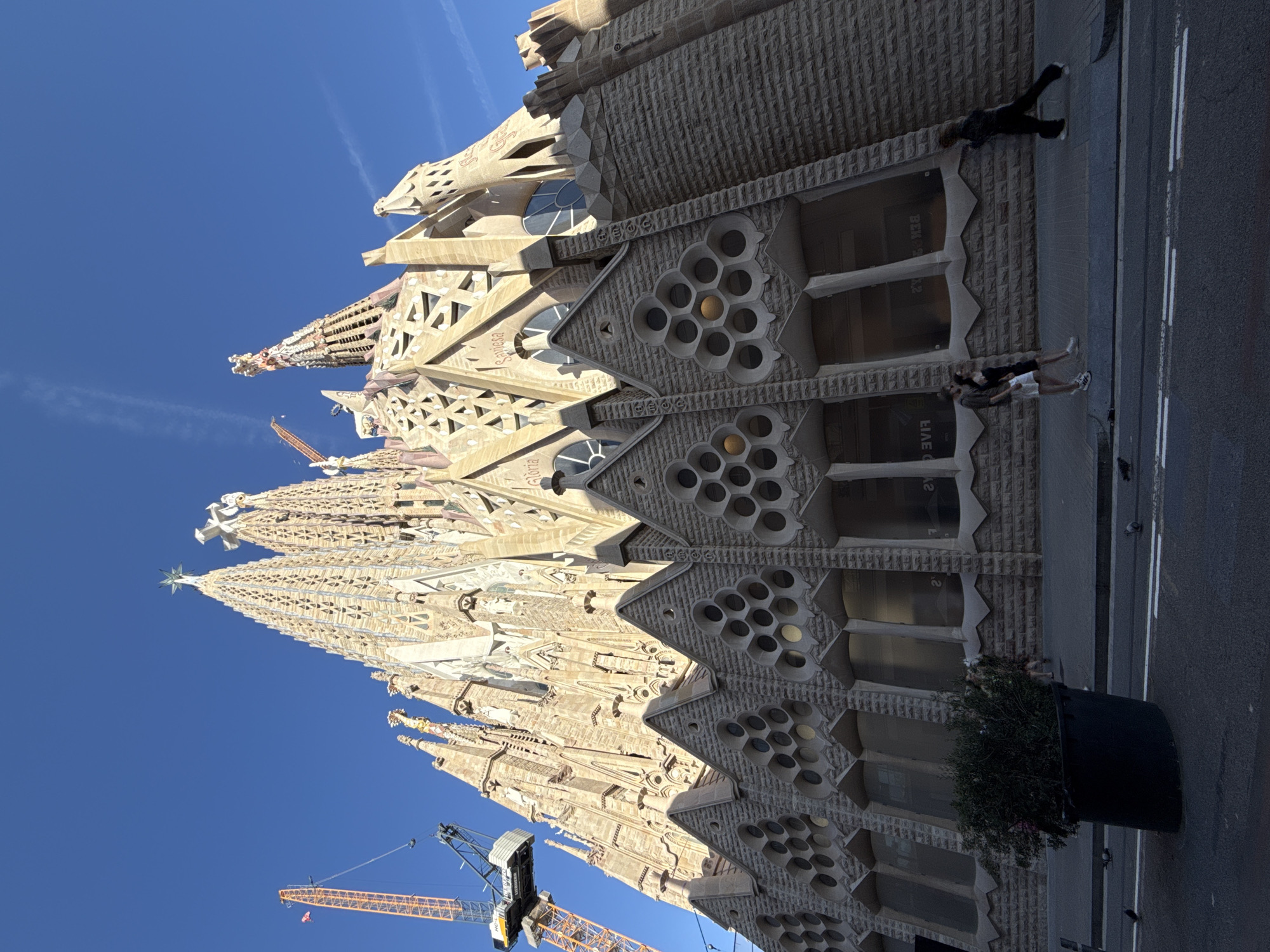 This is an eye-level, slightly low-angle wide shot of the Sagrada Família cathedral in Barcelona, Spain, under a clear, deep blue sky with faint contrails.
The magnificent, highly intricate sand-colored stone facade of the cathedral dominates the upper and mid-sections of the image, showcasing multiple tall, ornate spires and detailed architectural elements characteristic of Antoni Gaudí's design. Construction cranes are prominently visible on the left side of the frame, extending above the cathedral's spires, indicating ongoing building work. The stonework exhibits numerous circular and triangular window openings, some featuring multi-pane geometric patterns. Inscriptions such as "Gloria" and "Sapiesia" are visible on parts of the facade.
The lower section of the image shows the street level. A dark asphalt road with two parallel white lines runs across the bottom left. A grey concrete sidewalk separates the road from the cathedral's base. On the sidewalk, near the center-left, a large, dark-colored cylindrical planter holds a dense green shrub. Several pigeons are scattered on the road and sidewalk. Two individuals, a male in a dark top and light shorts, and a female in a dark top and white shorts, walk on the sidewalk towards the right. Another individual in dark clothing walks or leans against the building further to the right. The lower windows of the cathedral reflect inverted text and interior light sources.