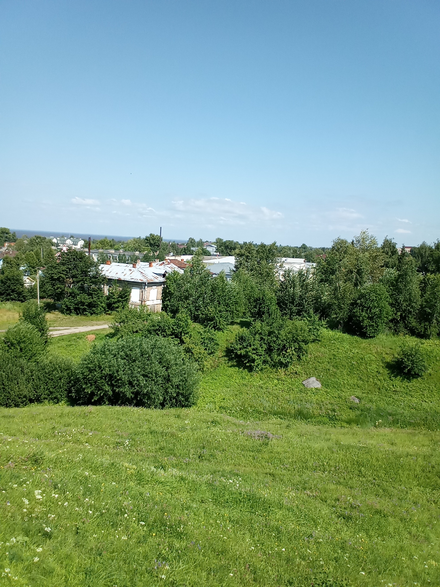 A high-angle shot captures a serene summer landscape with a clear blue sky dominating the upper half. Below, a green, rolling meadow with scattered wildflowers transitions into a densely wooded area. In the midground, several buildings are visible, some with rust-colored roofs, nestled amongst lush green trees. A narrow path winds through the grass, leading towards the structures. The scene appears to be an unpopulated, tranquil view of a suburban or rural area, possibly on the outskirts of Belozersk, Russia, given the architectural style and vegetation. The overall impression is one of peaceful, natural beauty on a bright, sunny day.
