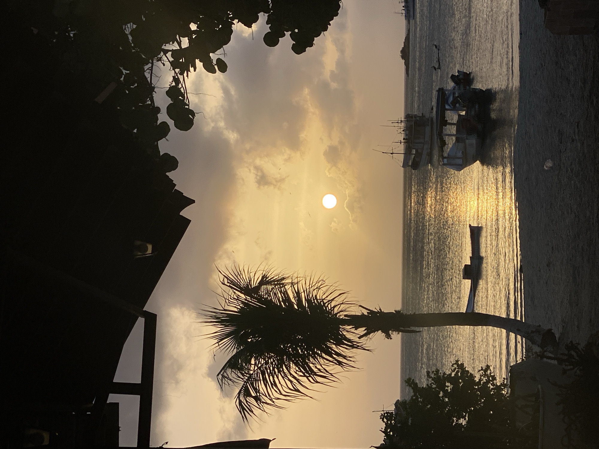 The photograph depicts a sunset scene in Juan Griego, Venezuela. The sun is low in the sky, casting a golden light across the water. Several boats are visible in the sea. Silhouetted against the sky are a palm tree, building, and other vegetation.