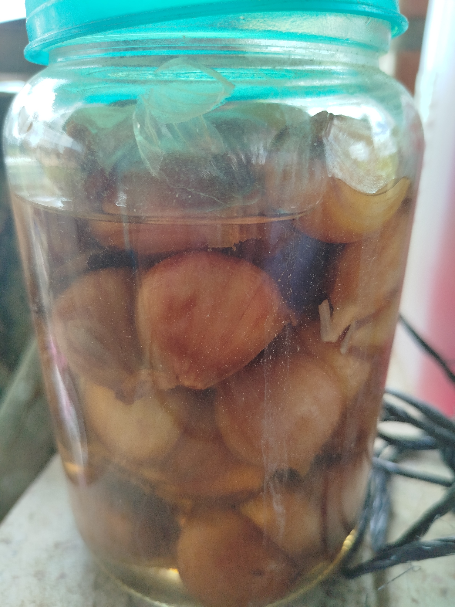 A glass jar filled with pickled onions is the primary subject in this close-up, overhead shot. The jar has a teal-colored lid and is partially filled with a amber-colored liquid, likely brine. Inside, numerous small, peeled onions are submerged. Some onions are whole, while others appear to be cut in half.
The lighting suggests daytime, possibly afternoon, given the warm tones and the way light refracts through the jar and liquid. The background is out of focus but appears to be an outdoor setting with some blurry foliage and electrical cords visible on the right side, hinting at a home or perhaps a workshop environment. The overall mood is neutral and observational, focusing on the preservation of food. There is no visible text in the image.
