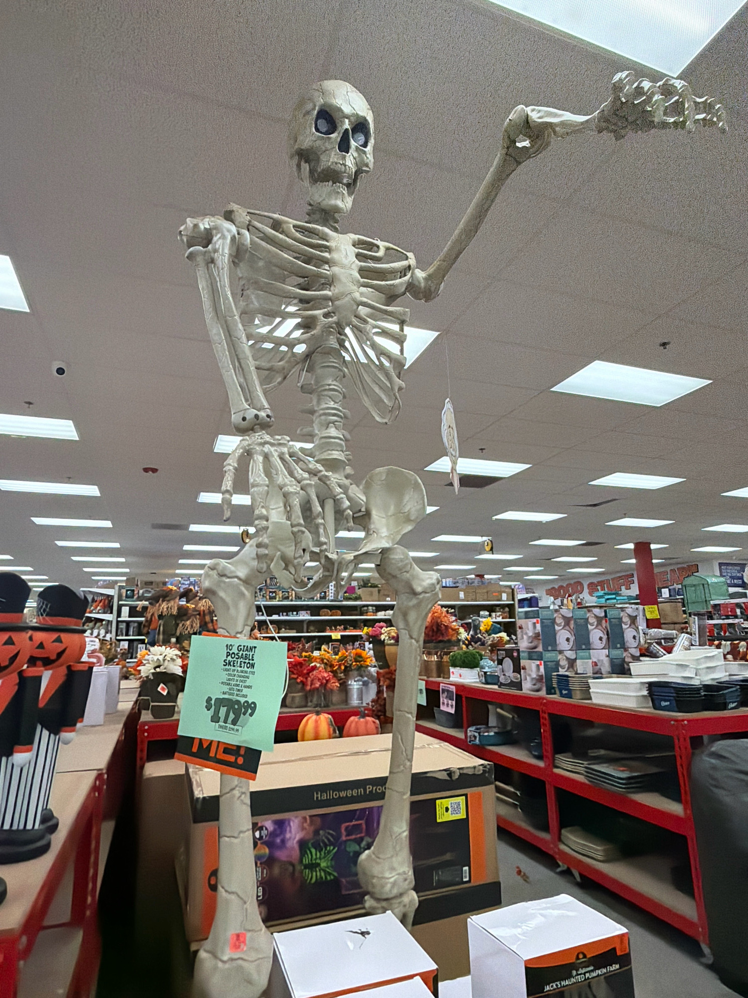 A full-body, large-scale, poseable skeleton decoration is displayed indoors, likely in a retail store. The skeleton, made of a light-colored material, is positioned with its arms extended, one reaching upward and the other forward. It stands on a leg that appears to be resting on a cardboard box labeled "Halloween Pro." A green sign is attached to the skeleton's torso, displaying product information. The sign reads "10' GIANT POSEABLE SKELETON," followed by features like "LIGHT-UP BLINKING EYES," "CHILLING SOUNDS," "POSEABLE ARMS & HANDS," and "AUTO-TIMER." The price "$179.99" is prominently displayed, with a previous price of "$299.99" crossed out. Below this, a red tag reads "MC!".
The background shows a retail environment with aisles of merchandise, including shelves stocked with various items like plates and boxes. Fluorescent lighting illuminates the space from a suspended ceiling. To the left of the skeleton, a Halloween-themed display features jack-o'-lantern figures. Further back, other Halloween decorations, such as scarecrows and artificial flowers, are visible. The image is taken from a low angle, emphasizing the height of the skeleton. The location is identified as North Franklin Township, United States of America.