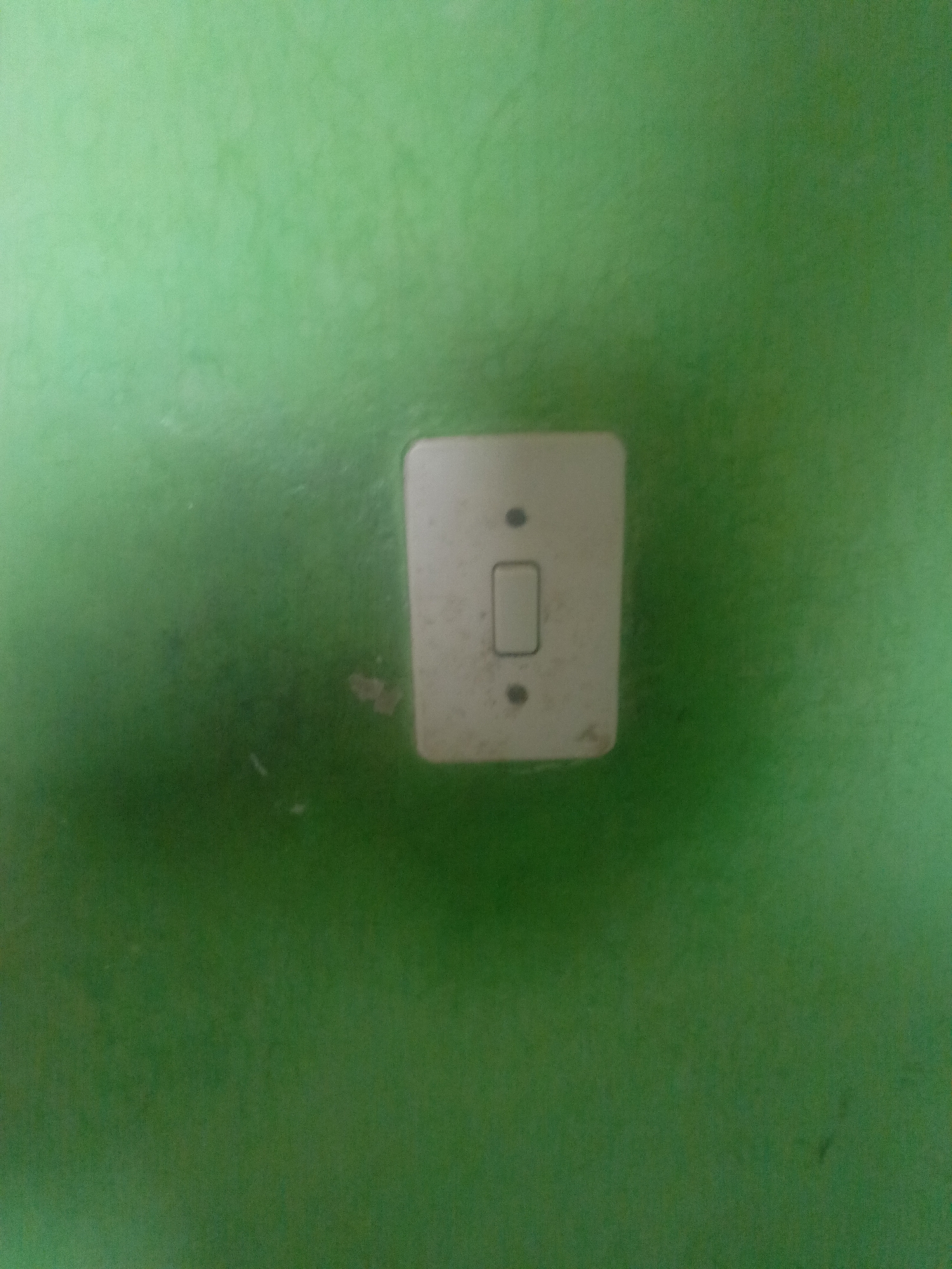 The image displays a close-up of a single light switch mounted on a green-painted wall. The wall is a vibrant, medium shade of green, with some visible texture, minor discoloration, and faint scuff marks, suggesting wear or age.
The light switch itself is off-white or cream-colored, rectangular with slightly rounded corners, and appears to be made of plastic. It features a single, small, rectangular toggle switch positioned in the center, indicating neither an "on" nor "off" state, or potentially a neutral position for a three-way switch. There are two visible screw holes on the switch plate, one above and one below the toggle switch, securing it to the wall. The switch plate also shows some slight signs of wear and dirt accumulation, particularly around the edges and on its surface.
The setting is an interior space, likely a room within a building in Juan Griego, Venezuela, although no specific architectural or environmental cues beyond the wall and switch are visible to confirm this location. There is no discernible activity taking place, as it is a static shot of an inanimate object. The lighting is diffused and uniform, without strong shadows, implying an interior light source. No visible text is present on the switch or the wall.