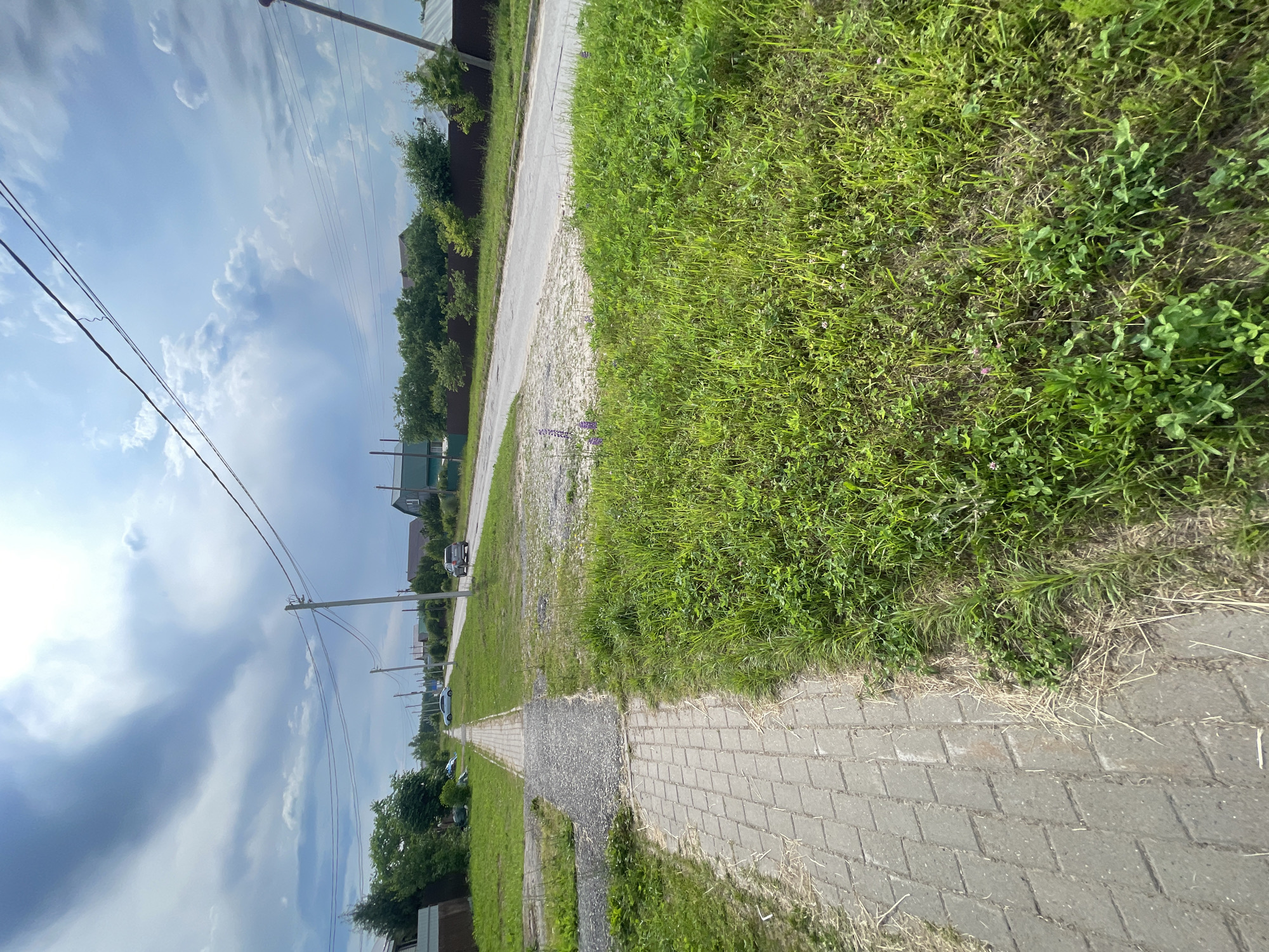 The image depicts a village street in Krasnye Baki, Russia. A paved sidewalk runs along the left side of the frame, bordered by green grass and a few small purple flowers. Across the street, a paved road is visible with two cars driving in the distance. Houses and trees line the right side of the road, with utility poles and power lines overhead. The sky is partly cloudy, with bright sunlight filtering through. The overall scene suggests a peaceful, rural setting on a summer day.