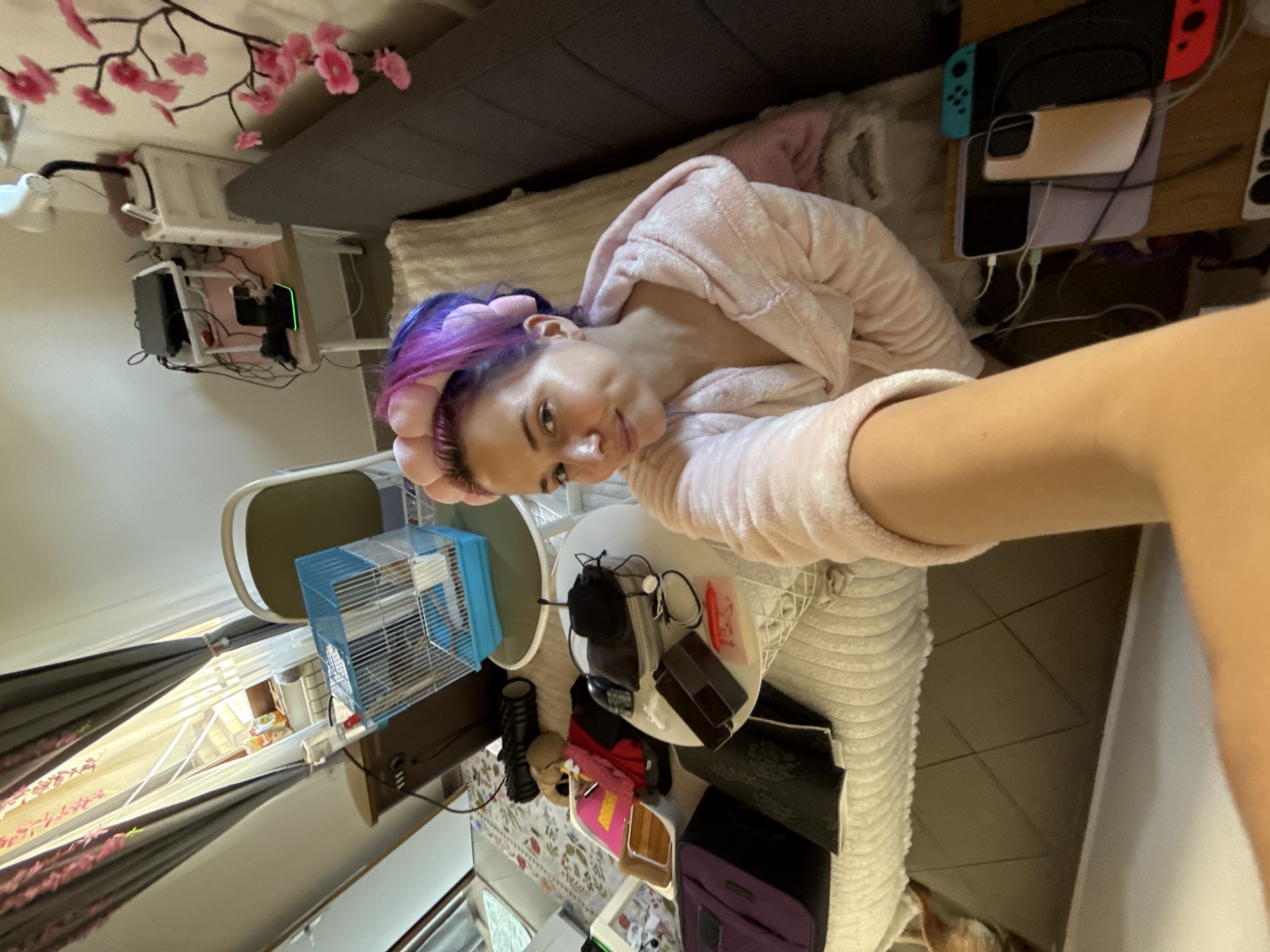 The image captures a young woman in a relaxed indoor setting in the City of Zagreb, Croatia, taking a selfie. She has vibrant purple and blue hair, which is held back by a pink fluffy headband, and she is wearing a soft pink hooded robe. She is lying down, looking towards the camera with a relaxed expression and a slight smile.
The room appears to be a bedroom or living area. In the upper left background, an artificial pink floral branch decorates the wall or ceiling. Below it, a white multi-tiered shelf unit holds various electronic devices, possibly a computer or gaming console, with numerous cables. A small white fan and a lamp are also visible on this shelf.
Beside the woman, on a bedside surface, a Nintendo Switch with red and blue Joy-Con controllers is present, along with two smartphones—one with a gold/beige case and another darker phone—both connected to charging cables.
Further into the scene, near a window with blinds and curtains, there is a small blue and white pet cage, likely for a hamster or small rodent, situated next to a chair. On a white circular table closer to the foreground, black headphones, various charging cables, small electronic accessories, and a small red item are arranged. Other visible objects include a black textured foam roller, a pink pouch or bag, a black bag, and a purple suitcase or travel bag. The floor features a patterned rug or carpet. The lighting suggests it is daytime, with natural light filtering through the window. No explicit text is clearly legible within the image.