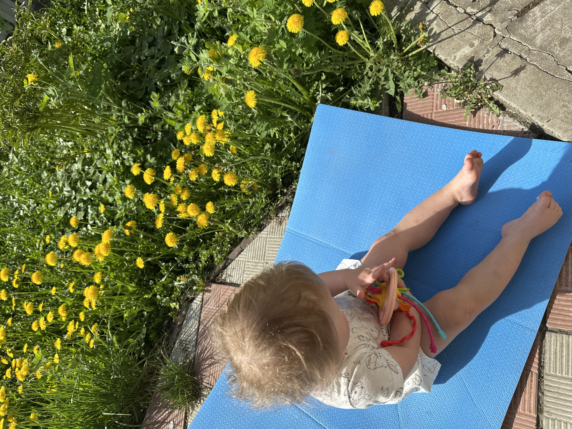 A high-angle shot depicts a baby sitting on a blue mat on a patio. The baby has blond hair and is wearing a white outfit with animal prints. The baby is holding a toy with strings. To the left of the mat is a patch of dandelions in full bloom. The patio surface is made of paving stones. Based on the geographical location, this photo was most likely taken in Nizhny Novgorod, Russia.