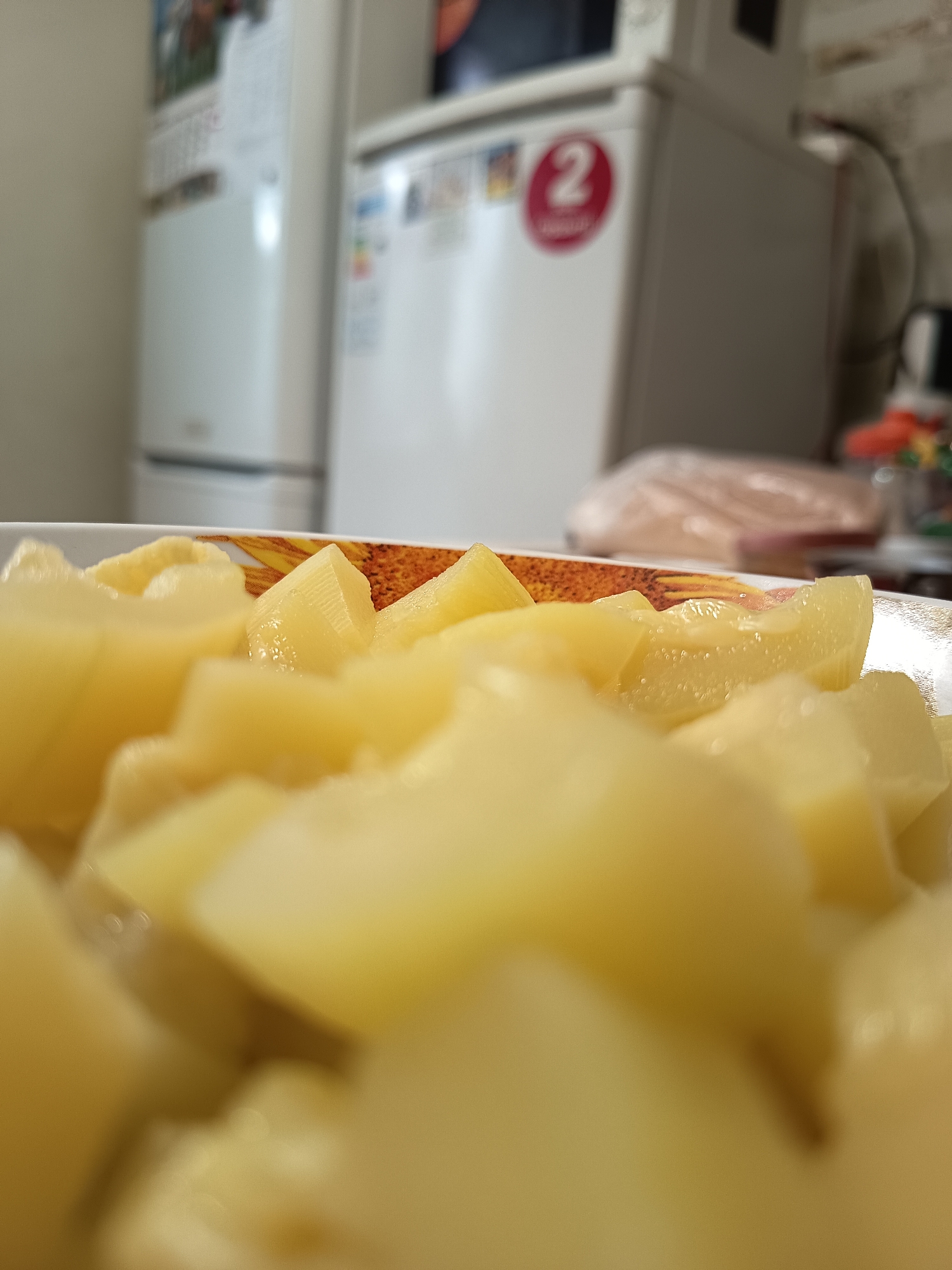 The image depicts a close-up view of a dish filled with chopped yellow vegetables, possibly potatoes or bamboo shoots, presented on a patterned plate. In the background, out of focus, are two refrigerators. The left refrigerator is white and has a calendar or poster attached to its door. The right refrigerator is also white and features a red circular sticker with the number "2" inside. The environment appears to be a kitchen. The specific location in the city of Izmail, Ukraine cannot be determined from the visual information provided. There are no people or interactions visible in the image.