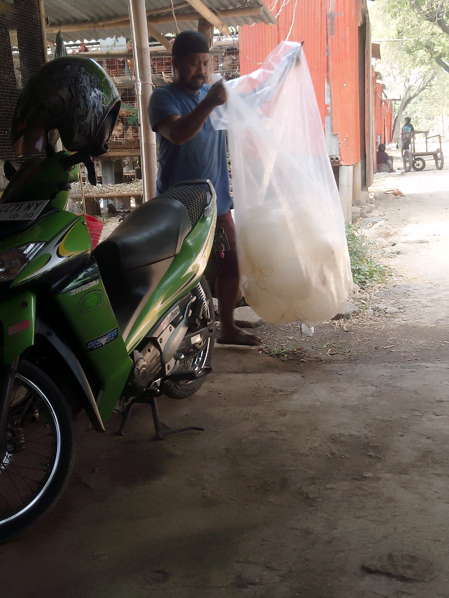 Memory