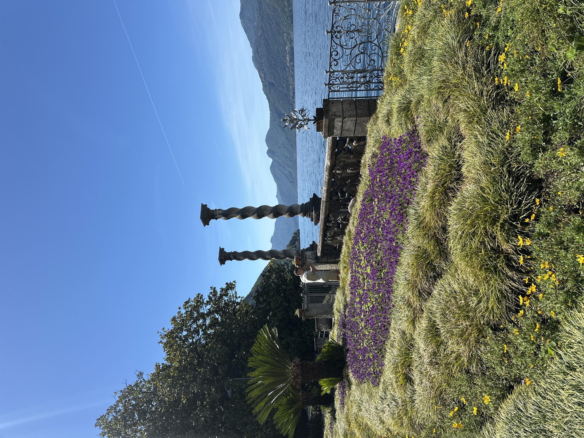 The image depicts a sunlit scene along the waterfront in Varenna, Italy. In the foreground, a lush garden bed features a vibrant display of purple flowers interspersed with feathery green and yellow grasses. Beyond the garden, a stone balustrade runs along the edge of a terrace, adorned with two large, twisted columns. A man in a light-colored shirt and shorts stands near a decorative metal gate, looking towards the water.
The middle ground is dominated by the calm, blue expanse of Lake Como, reflecting the clear sky. In the distance, the picturesque hills of Lombardy rise, their slopes covered in green foliage and dotted with buildings. The sky is a bright, cloudless blue with a faint contrail from an airplane visible. The overall impression is one of serene beauty and a well-maintained, scenic waterfront promenade.