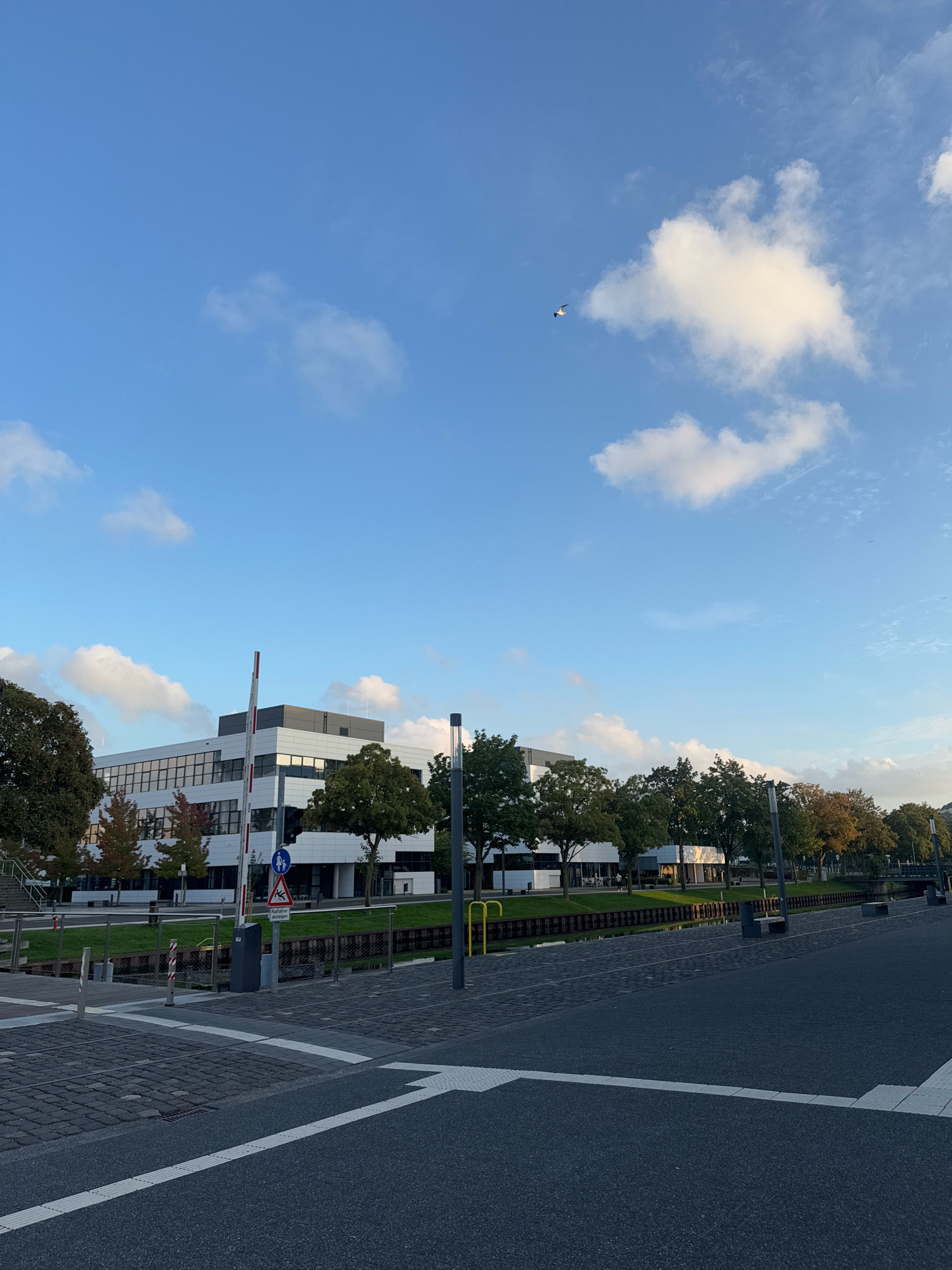 The image depicts a modern, white office building with large windows, surrounded by trees. The building is situated in Cleves, Germany, along a waterway. In the foreground, there is an asphalt road with white lane markings and a pedestrian crossing made of cobblestones. A red and white striped barrier arm extends upwards, indicating it is open. A blue and white pedestrian crossing sign is visible on a pole. Several trees with green and some autumnal colored leaves line the waterway, with some trees in the foreground showing more vibrant fall colors. The sky is a clear blue with scattered white clouds. A small aircraft is visible in the distance, flying in the upper portion of the sky. The scene appears to be in the late afternoon or early evening, given the angle of the sunlight.