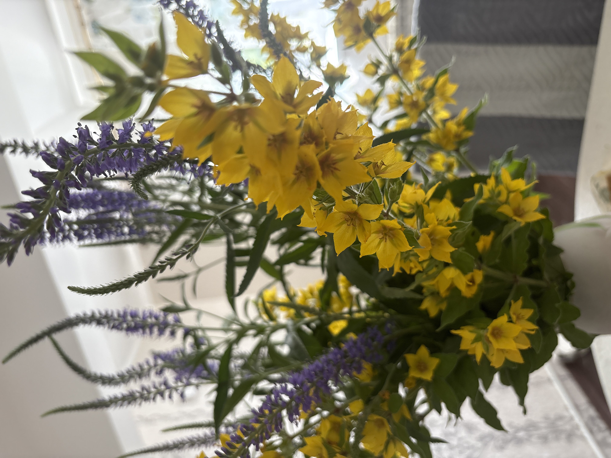 A close-up, angled shot captures a bouquet of yellow and purple flowers. The yellow flowers are star-shaped with five petals and appear in clusters, with some slightly blurred in the foreground and background. Interspersed among them are spikes of small, delicate purple flowers. Lush green leaves are visible throughout the arrangement.
The background is softly out of focus. To the left, a bright, hazy light suggests a window or an outdoor scene, with vertical lines that could be blinds or curtains. To the right, horizontal stripes of grey and white are visible, possibly a textured surface or fabric. A white object, perhaps a vase or container, is partially visible on the far right.
The lighting is bright, indicating daytime. There are no people or animals in the frame, and no text is visible. The overall impression is one of natural beauty and a peaceful setting. The location context is Сульмаш, Russia.