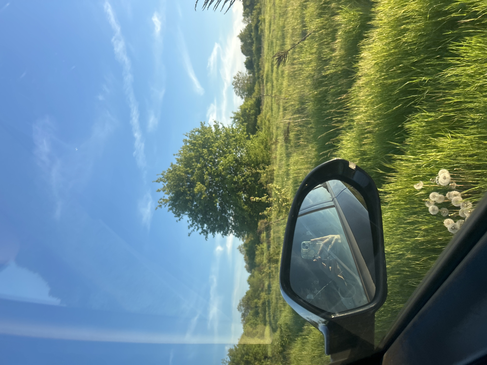The image depicts a view from inside a vehicle. The car's side mirror is visible, reflecting the person taking the photo with a cell phone. Outside the car, a field of tall green grass and dandelions is visible. Further in the background, there are trees and a blue sky with some wispy clouds. The location is Unknown, Unknown.