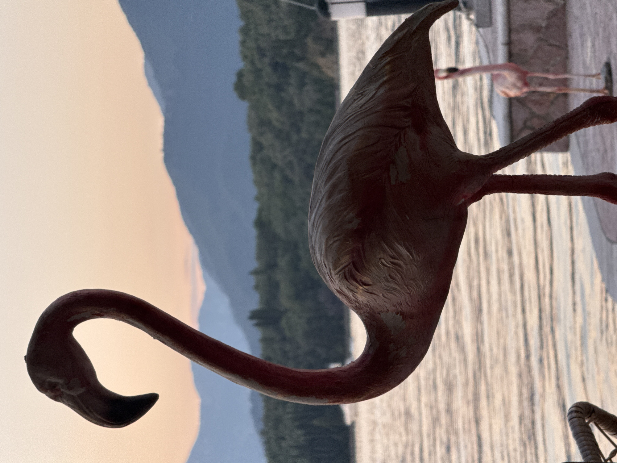 The image shows a close-up of a pink flamingo lawn ornament. In the background, there's a body of water, likely part of the Bay of Kotor in Bogišići, Montenegro. There are also mountains on the opposite side of the bay, partially obscured by a light-colored sky that transitions from orange at the horizon to a pale blue higher up. Another flamingo ornament is visible in the distance, near the first flamingo.