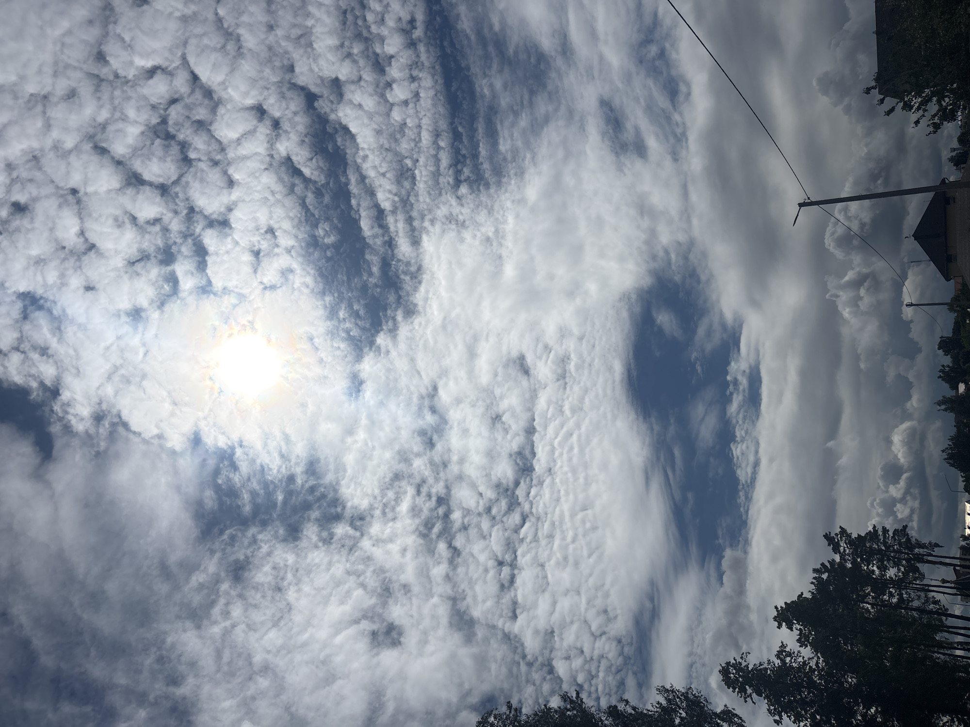 The image depicts a sky filled with a variety of clouds over the city of Kapyĺ, Belarus. The sun is visible, partially obscured by scattered, puffy clouds that create a dappled effect. In the lower portion of the image, silhouetted trees are visible on the left side. In the distance, there are hints of buildings and utility poles with wires, suggesting an inhabited area. The overall impression is of a partly cloudy sky on a daytime.