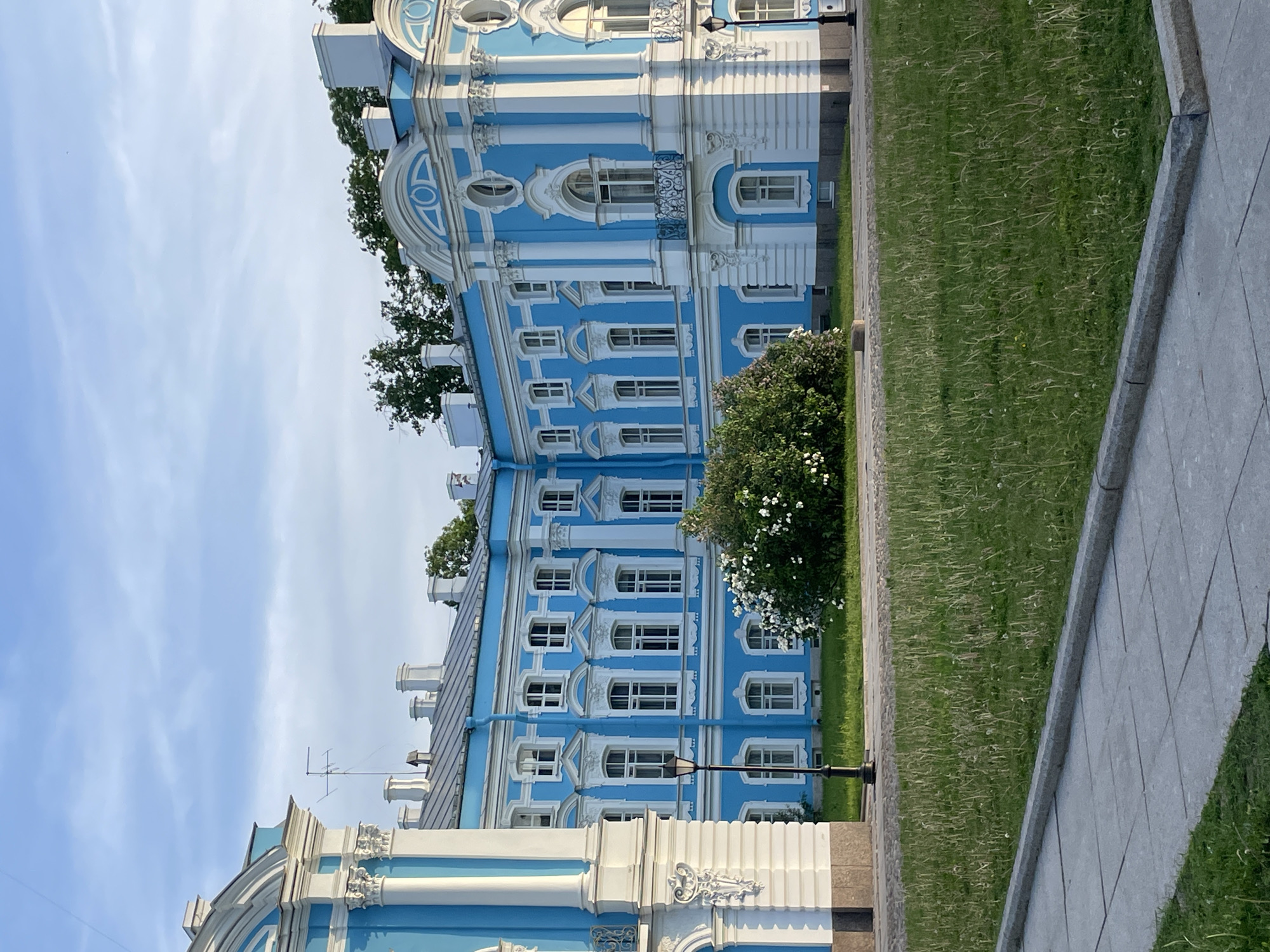 The image depicts the **Catherine Palace in Pushkin (Tsarskoye Selo), Russia**, showcasing a large section of its ornate Baroque facade. The multi-story building is predominantly painted a vibrant sky-blue, accented with stark white architectural details including window frames, decorative moldings, pilasters, and columns. A grey, sloping roof with multiple white chimneys and a single aerial antenna is visible above the main structure. Two dark, ornate wrought-iron balconies are positioned beneath arched windows on the right side of the palace. The building's base transitions to a darker, possibly stone or granite, foundation.
In the immediate foreground, a grey paved area composed of rectangular slabs is separated by a dark grey stone curb from a strip of unkempt green grass containing scattered dry stalks and white flowering plants, likely dandelions. A prominent black, traditional-style lamppost stands within this grassy area to the left, and another is partially visible on the far right. Centered in front of the palace, within the grass, is a large, dense bush featuring numerous white blossoms. The background reveals a light blue sky with wispy white clouds and dark green tree canopies extending above the palace roofline. No people or animals are present. The scene is illuminated by natural daylight, casting soft shadows.