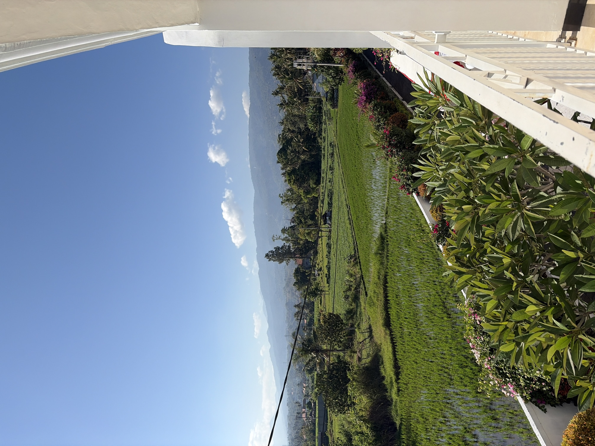 A vertical, eye-level, outdoor photograph captures a serene view of lush green rice paddies and distant mountains under a clear blue sky with scattered white clouds. The foreground features a white railing on a balcony, with several lush green plants with large leaves and vibrant pink and purple flowers growing along the edge. To the left, the edge of a building, possibly a hotel or residence in Banjar, Indonesia, is visible with its white exterior. The midground showcases expansive rice fields, some flooded and reflecting the sky, interspersed with trees, palm trees, and small buildings. A power line stretches across the scene from left to right. In the background, rolling hills and mountains rise, shrouded in a light haze, suggesting a rural or semi-rural landscape. The lighting indicates it is daytime, likely morning or afternoon, with bright sunshine casting soft shadows. No people are visible in the frame.