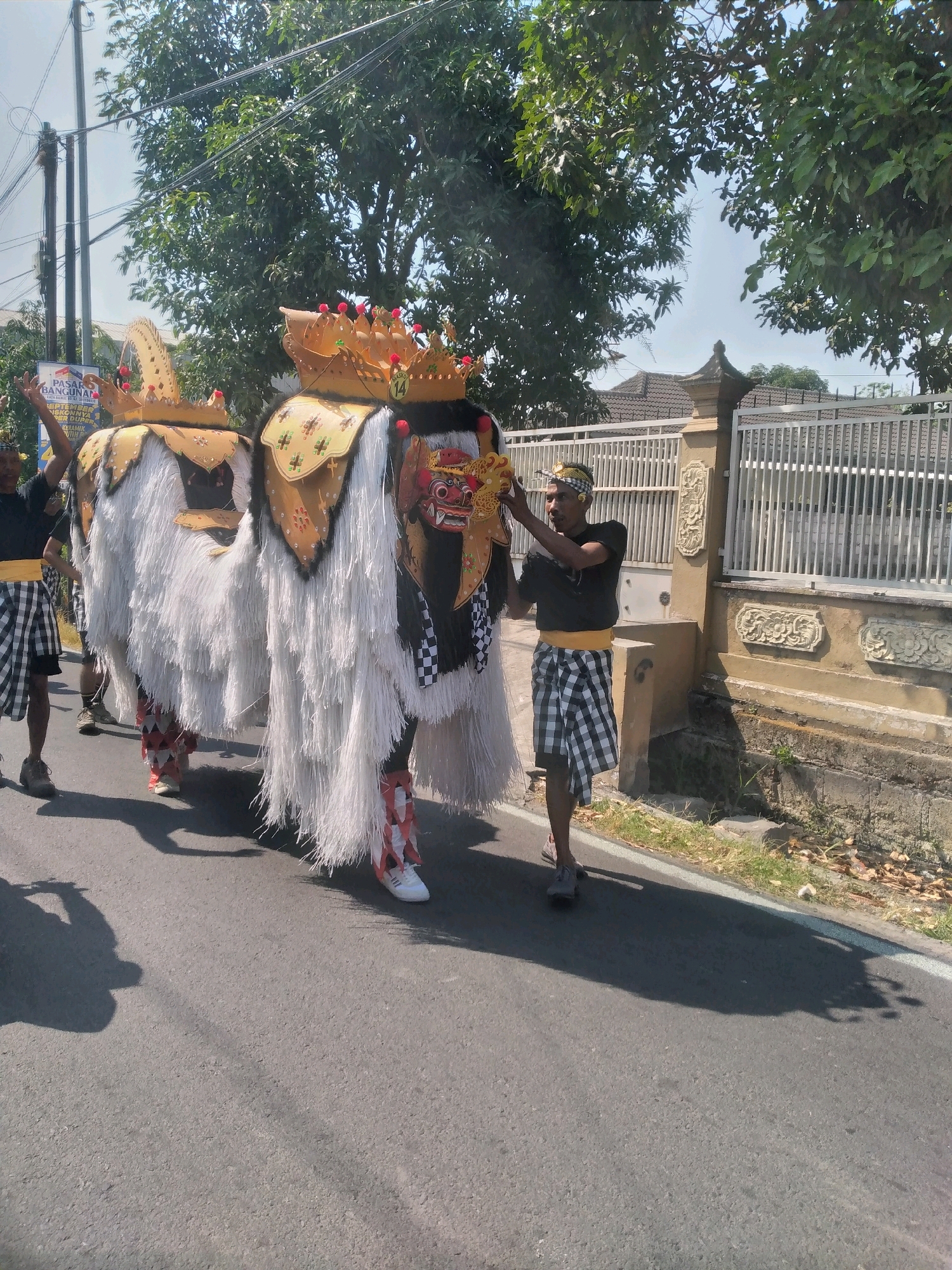 In Randegansari, Indonesia, under a clear sky and amidst lush green trees, a parade is underway on a paved road. Two individuals are actively engaged in carrying a large, elaborately decorated effigy, likely a Barong or Rangda, a prominent figure in Balinese mythology and performance. The effigy itself is a spectacle, featuring a white, shaggy skirt, a golden headdress adorned with red accents and decorative elements, and a fierce, red-faced mask with prominent teeth and eyes. The effigy's body is partially covered by a patterned fabric, possibly representing scales or armor, and it stands on two sets of legs, suggesting it is operated by multiple people.
One person, dressed in a black t-shirt and a traditional checkered sarong with a yellow sash, is positioned to the right of the effigy, his hands near the head of the effigy as if adjusting or guiding it. He wears a yellow patterned headband. Another person, partially visible on the left, wears a black shirt and a checkered sarong, also participating in carrying the effigy. Another individual, wearing a white sneaker, has their legs visible on the right side, indicating they are also part of the group carrying the effigy. The effigy is decorated with gold accents and has a number "14" visible on its headdress.
The environment includes a white metal fence in the background, adjacent to a textured wall with decorative carvings and a small patch of overgrown vegetation. Power lines crisscross the sky above, partially obscured by the dense foliage of trees. Shadows are cast on the road, indicating the bright sunlight. The scene is characteristic of a cultural festival or religious procession, a vibrant display of Indonesian heritage.