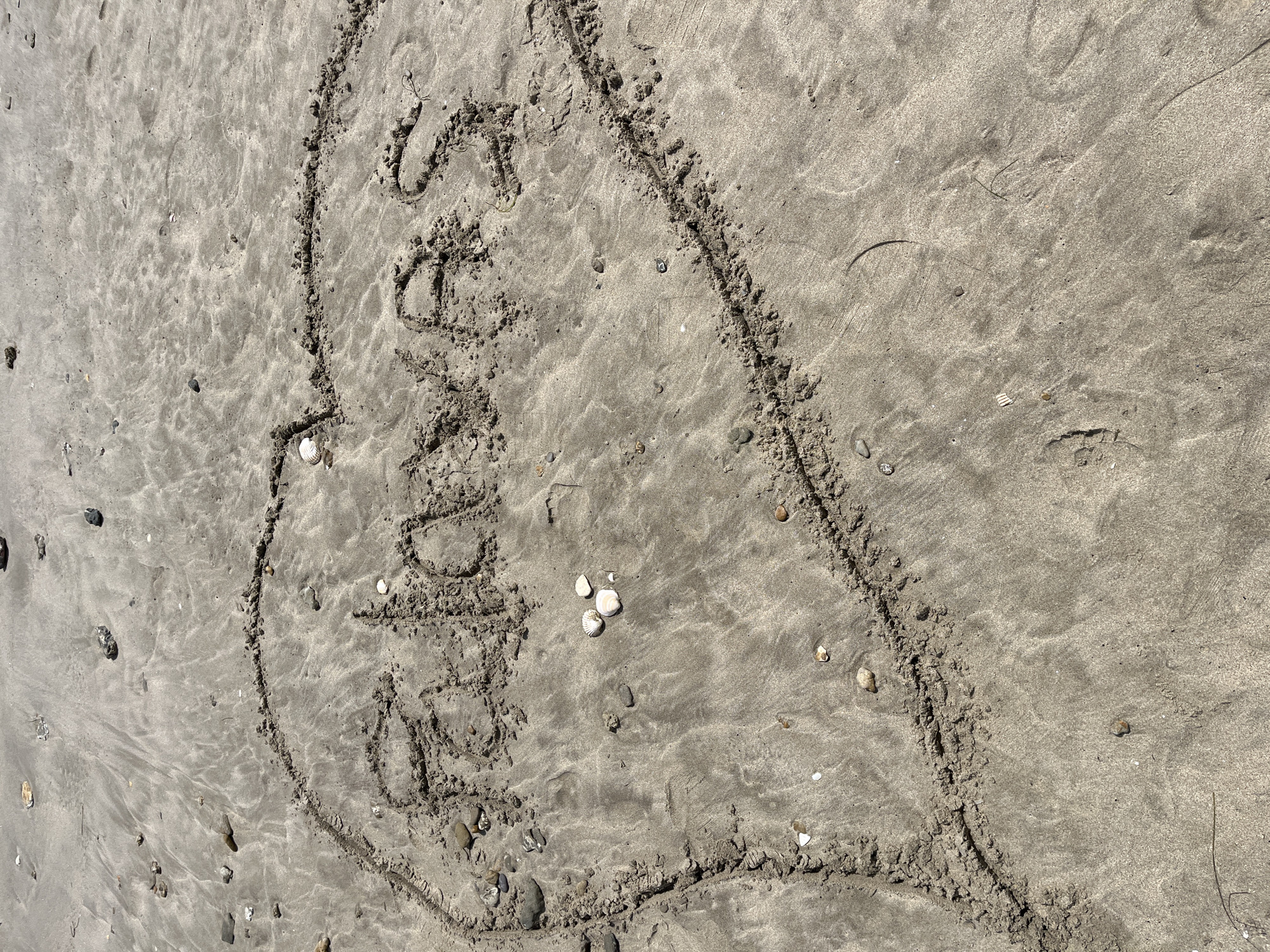 An overhead shot captures a heart shape and text drawn in the damp sand of a beach. The sand, a mix of light and dark grey, shows ripples and textures from water movement. Scattered across the surface are various small pebbles and fragments of shells, some white, others darker.
Inside the hand-drawn heart, the name "SANDRA" is written vertically in capital letters, also etched into the sand. The lines of both the heart and the name are distinct, created by scraping away the top layer of sand, forming small ridges of disturbed sand.
The bright, even lighting suggests it is daytime, likely under a sunny sky, as indicated by the subtle shadows cast by the raised sand and shells. The presence of damp sand, shells, and pebbles are strong cues of a coastal environment, specifically a beach. The image conveys a personal message or memory associated with the beach setting in Palavas-les-Flots, France.