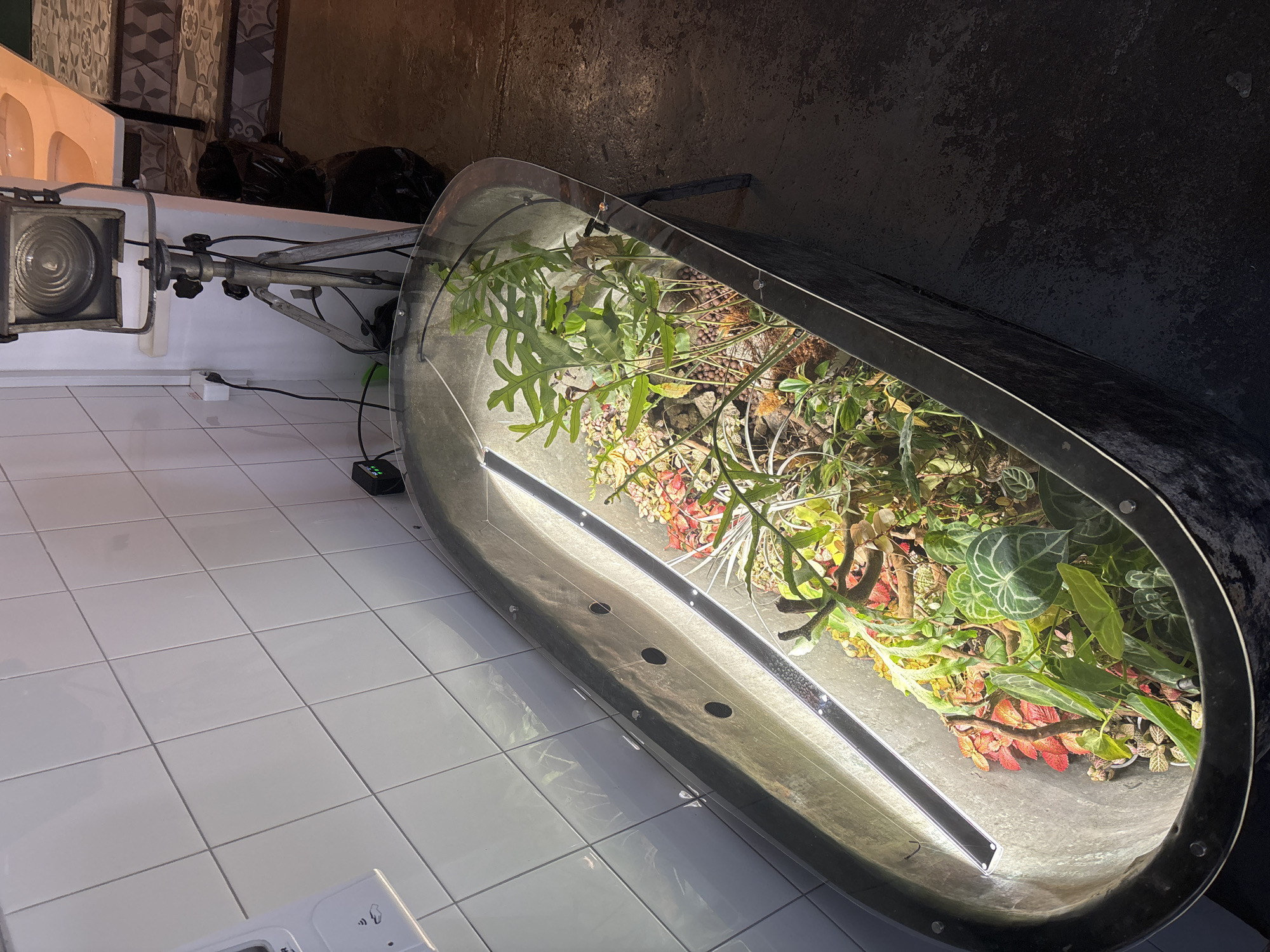 The image depicts an indoor scene in Saint Petersburg, Russia, showcasing a large, repurposed metal bathtub functioning as an enclosed botanical display.
The bathtub, dark gray and metallic with a textured finish, contains a dense arrangement of various tropical and ornamental plants, including ferns, variegated foliage plants, and species with reddish and patterned leaves. The plants are rooted in a substrate of dark soil, light-colored expanded clay pebbles, and scattered rocks. Two linear LED grow lights are horizontally mounted on the interior sides of the bathtub, providing direct illumination to the plants. A clear, custom-cut acrylic or glass cover with secured fasteners encloses the top of the bathtub, creating a terrarium environment.
The bathtub rests on a dark, mottled concrete floor. Behind it, a wall is clad in white, rectangular ceramic tiles with gray grout lines. On this tiled wall, to the left, is a white wall-mounted automatic hand sanitizer dispenser featuring a hand icon. Below the dispenser, a Type F (Schuko) electrical outlet is visible, with a white power cord plugged into it, leading to a small, black digital control unit with green numerical display resting on a narrow white shelf. To the right, an industrial-style metal spotlight with a ribbed Fresnel lens is positioned on a tripod stand, angled towards the plant display. In the background, on the right, a multi-tiered counter or table with two white basins is partially visible. Adjacent to the counter, a staircase with patterned risers and dark treads ascends. A large, black plastic trash bag rests on the floor near the stairs and counter. No people are present in the scene.