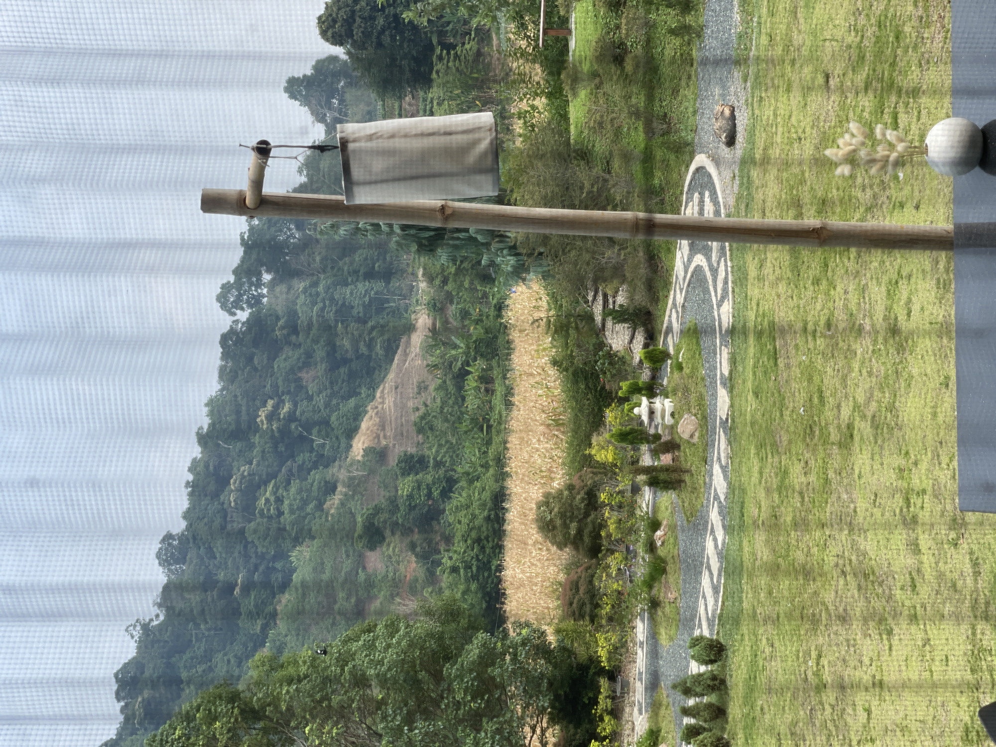 The image depicts a view from a building in Ban Nong Hoi, Thailand, overlooking a lush landscape. A bamboo structure with a white cloth hanging from it is visible in the foreground, partially obscured by a white curtain with a grid-like pattern. Beyond the structure is a garden featuring a patterned stone pathway and various trees and shrubs. Further in the background, a field of what appears to be tall grass or crops is bordered by dense green forest leading to the foot of a hill. The sky is overcast.