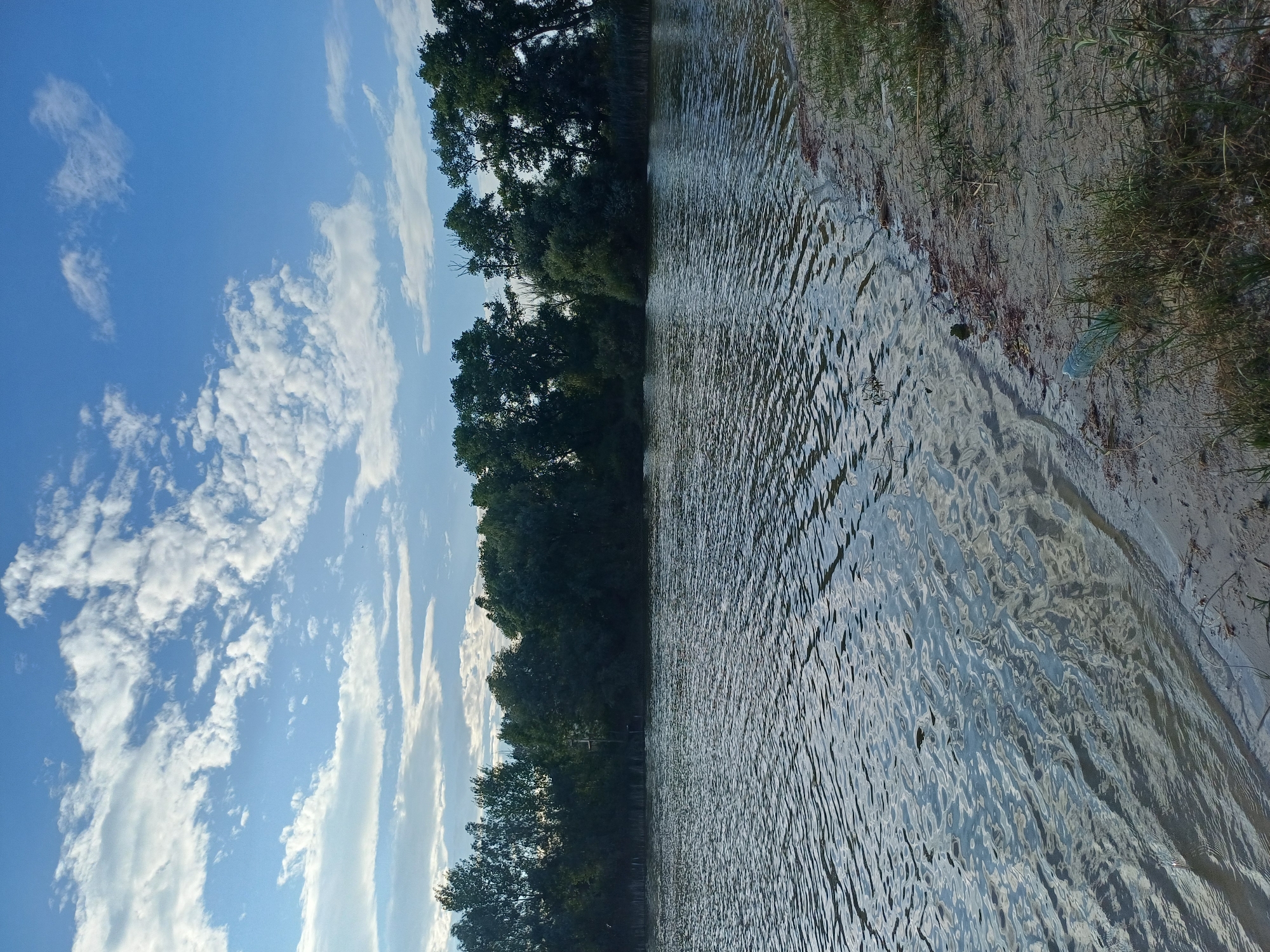 The image depicts a serene natural landscape, likely a body of water such as a river or lake, bordering a sandy shore lined with lush green trees. The sky above is a vibrant blue, dotted with fluffy white clouds, suggesting pleasant weather conditions. The water surface exhibits gentle ripples, reflecting the light and the surrounding foliage. A few scattered pieces of debris, including a plastic bottle, are visible on the sandy bank, indicating the presence of human activity. The overall impression is one of tranquility and natural beauty, characteristic of an outdoor recreational area. It is not possible to definitively confirm the location as Sulymivka, Ukraine, without further information.